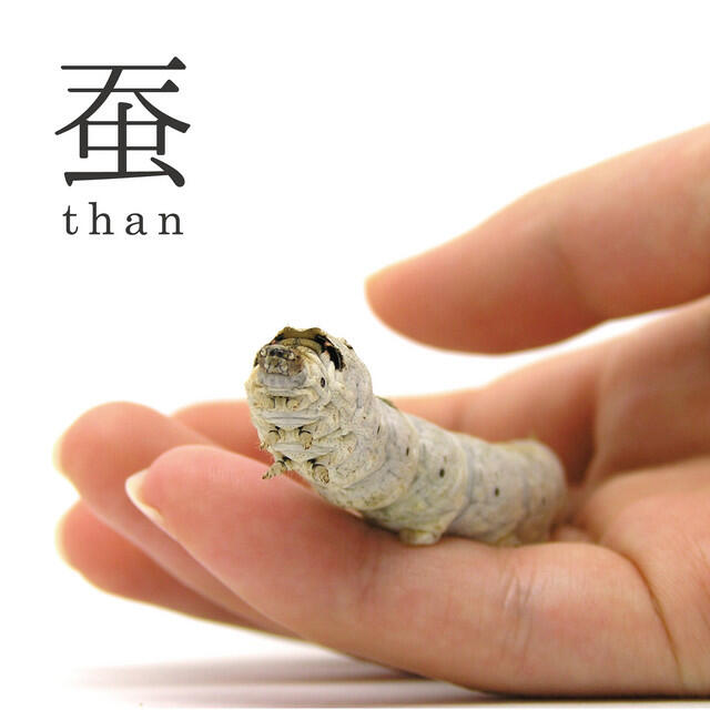 Релиз 蚕 -KAIKO-