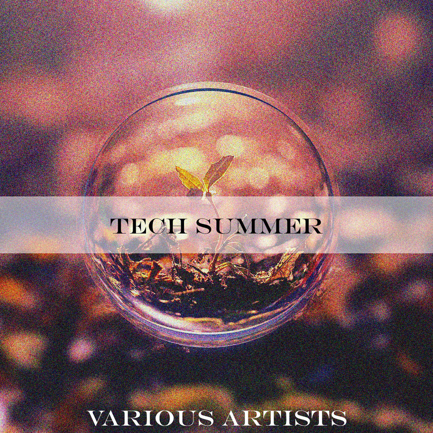 Релиз Tech Summer