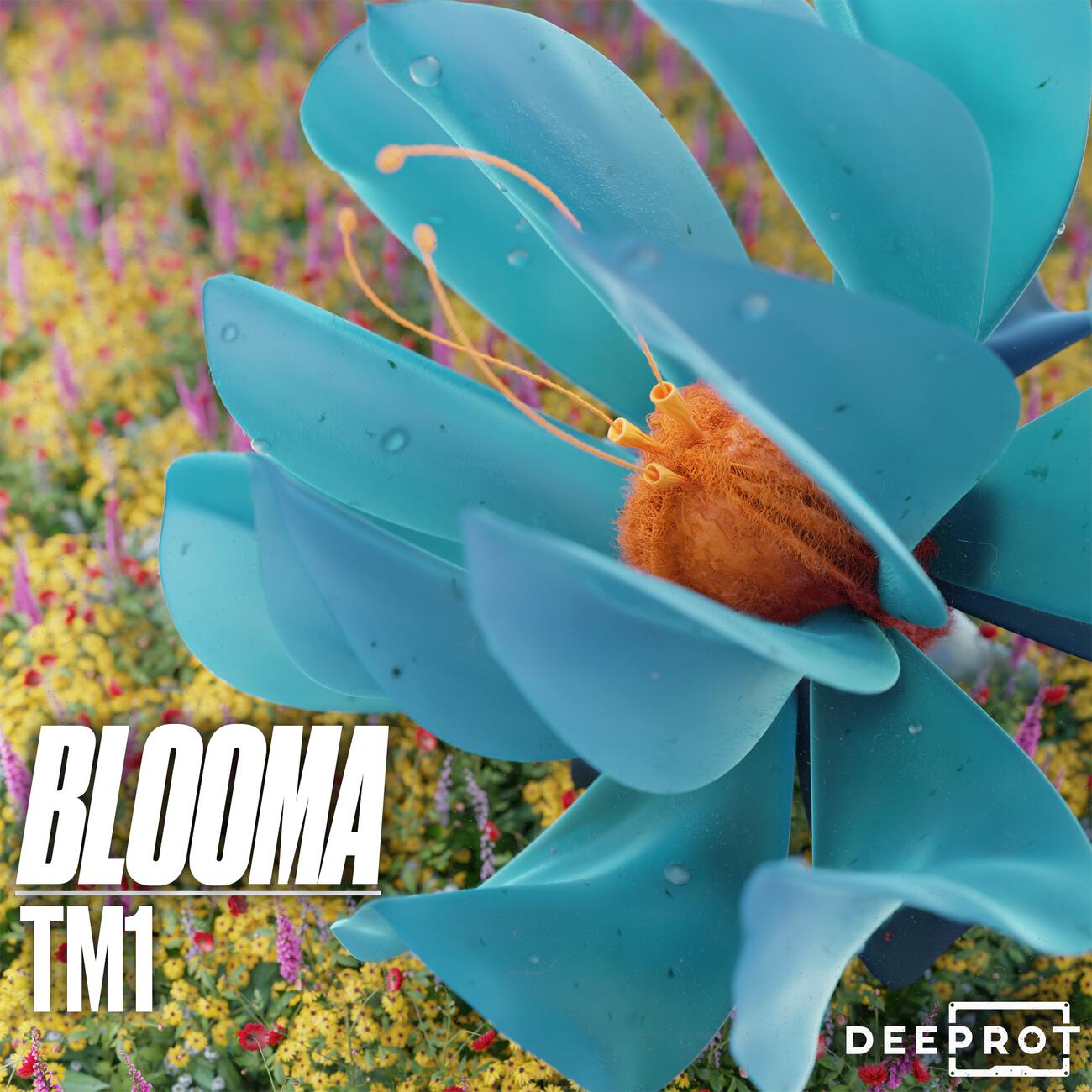 Релиз Blooma