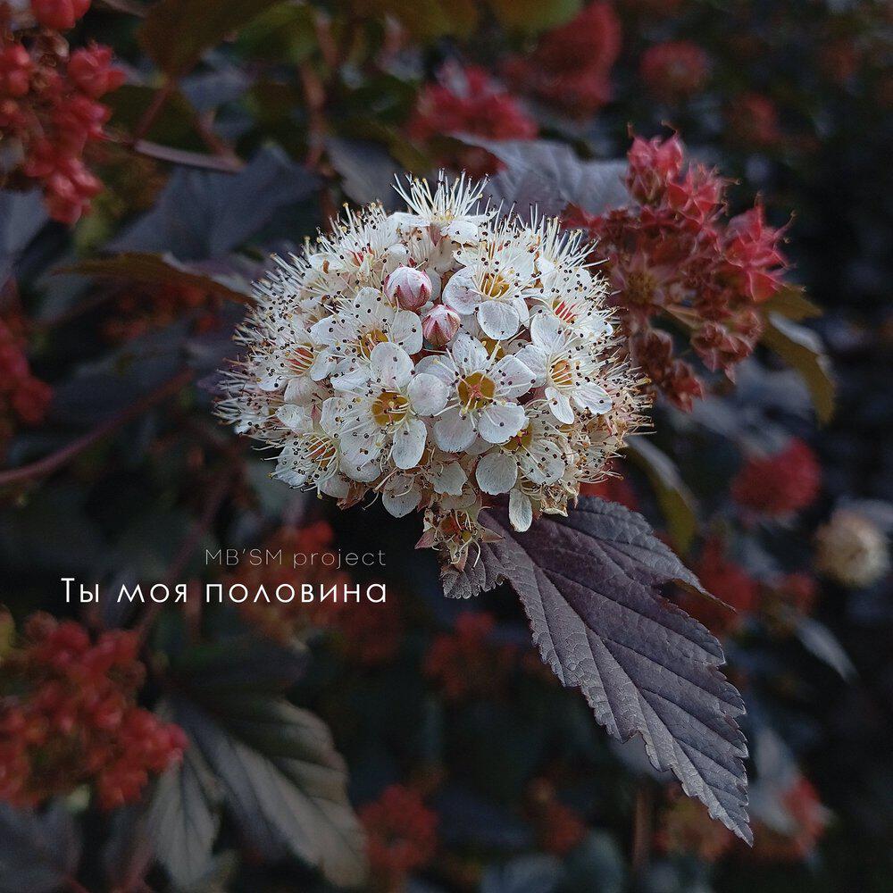Релиз Ты моя половина