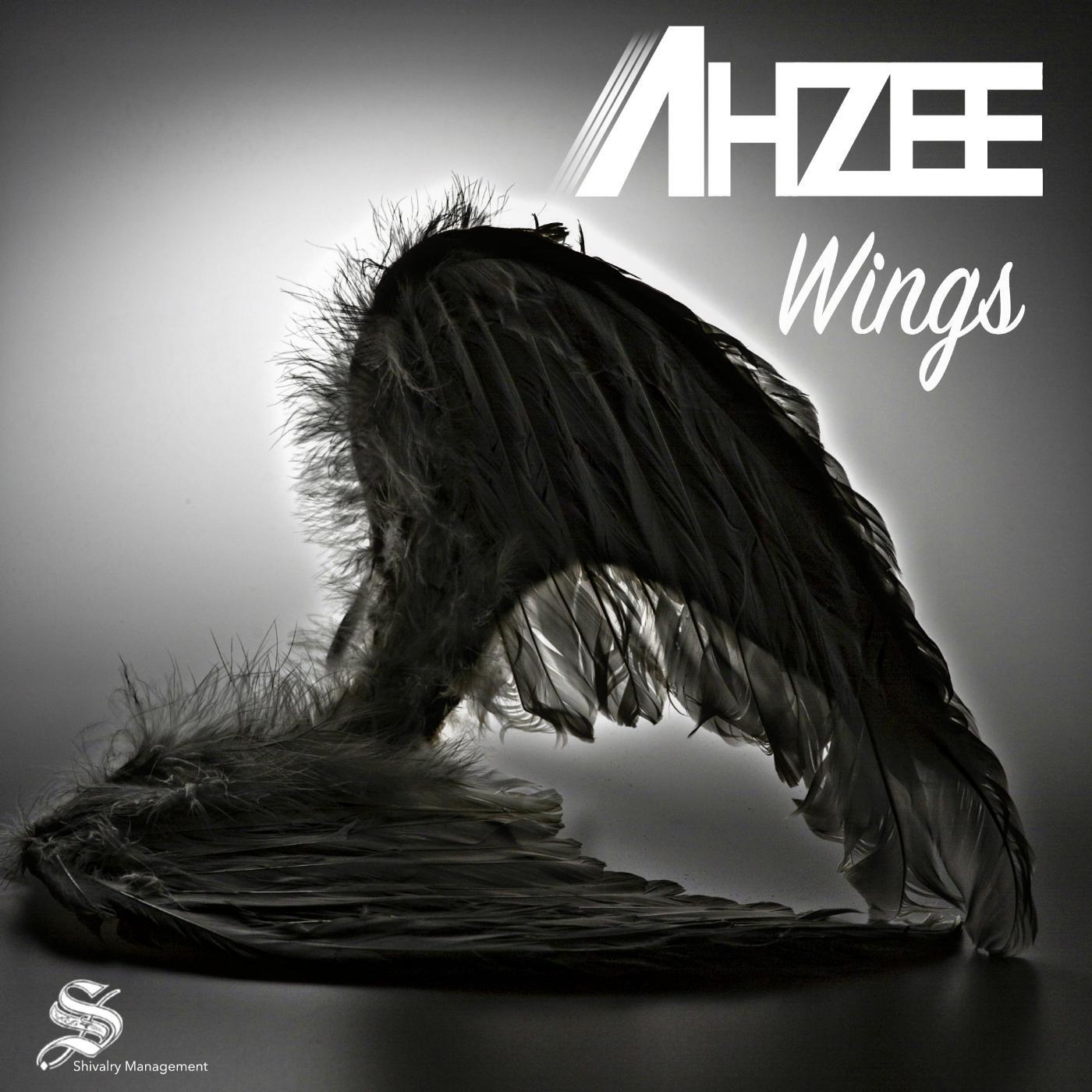 Релиз Wings