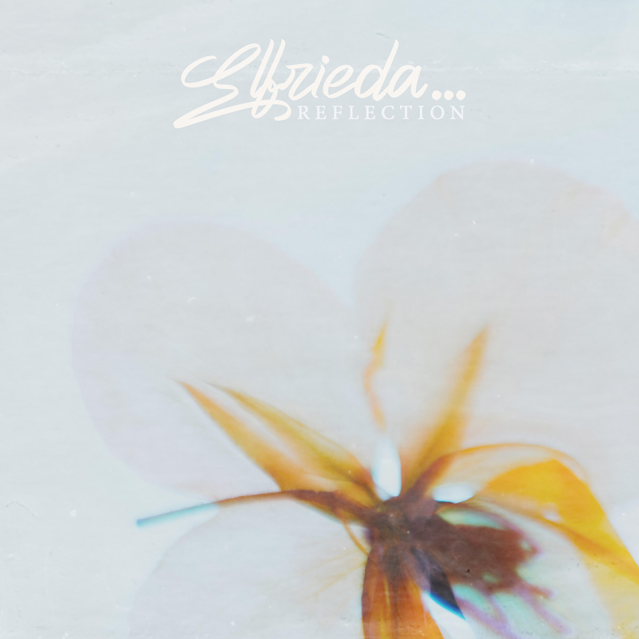 Релиз Reflection