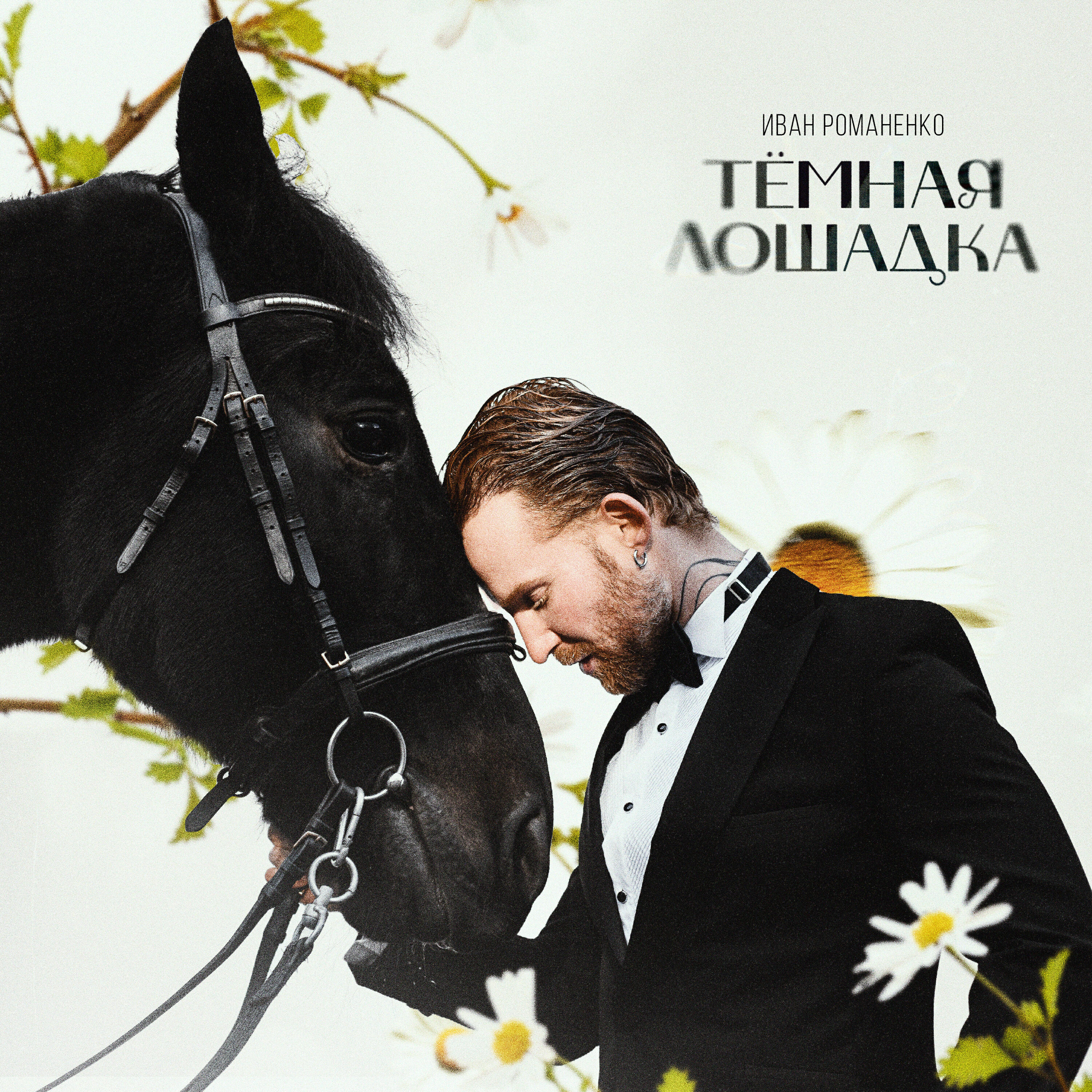Релиз Тёмная лошадка