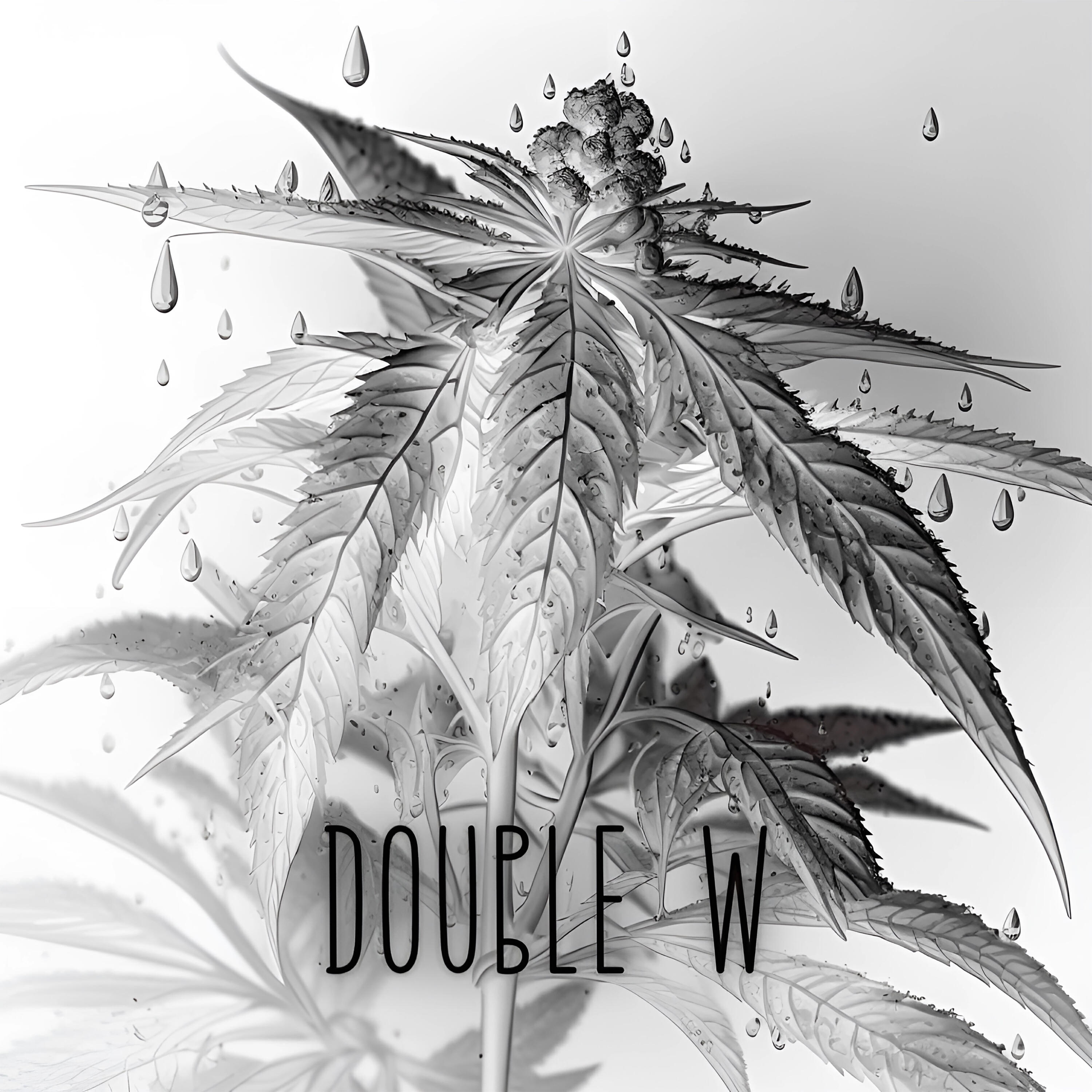 Релиз Double W