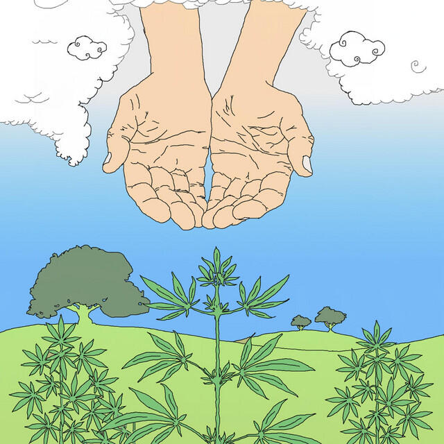 Релиз God Did Weed