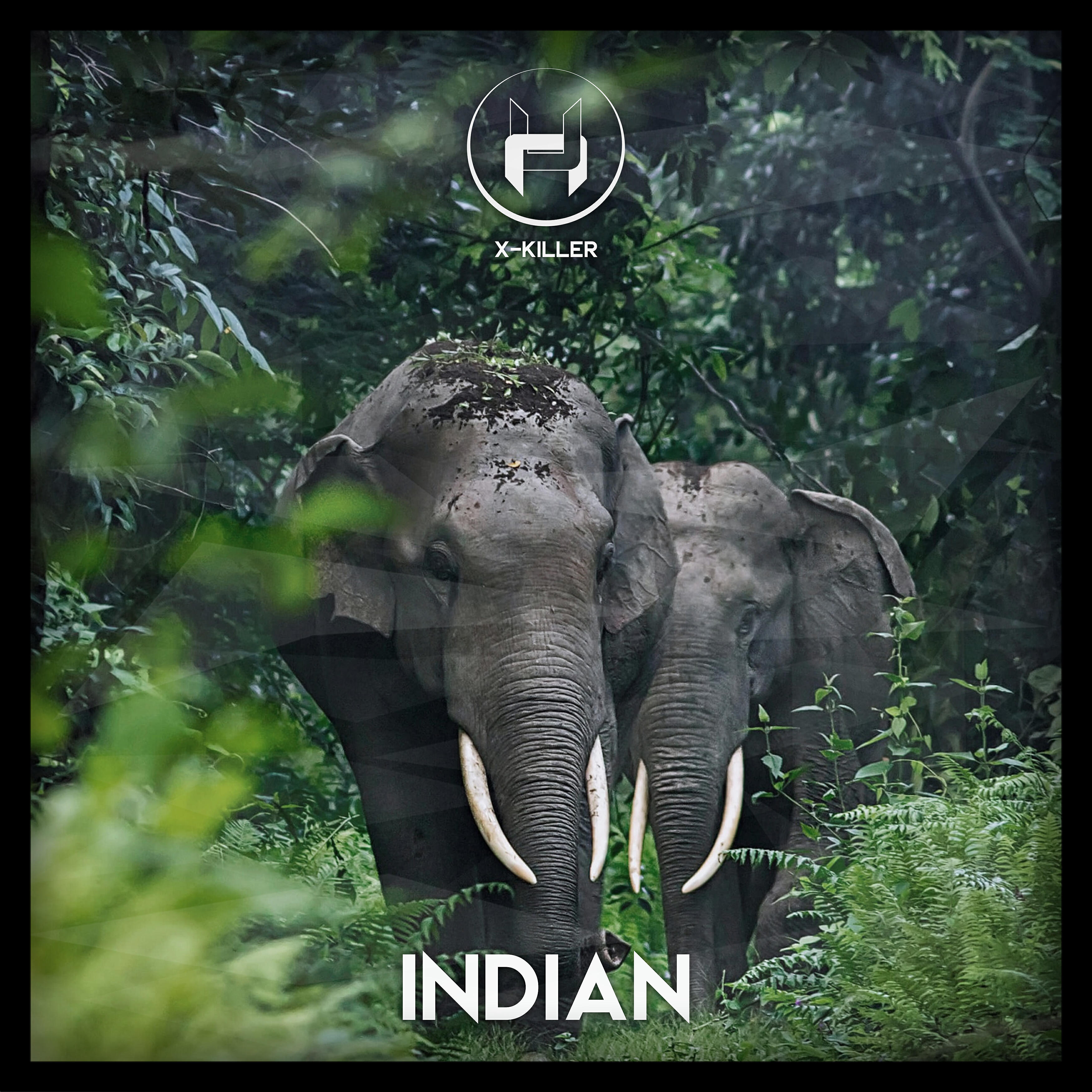 Релиз Indian