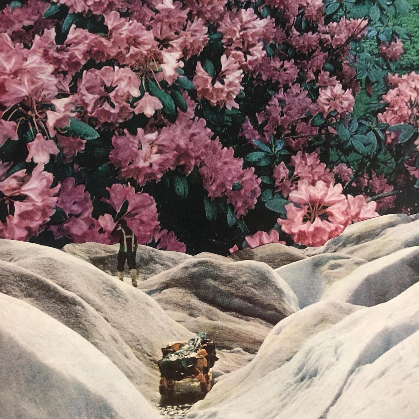 Релиз Blossom
