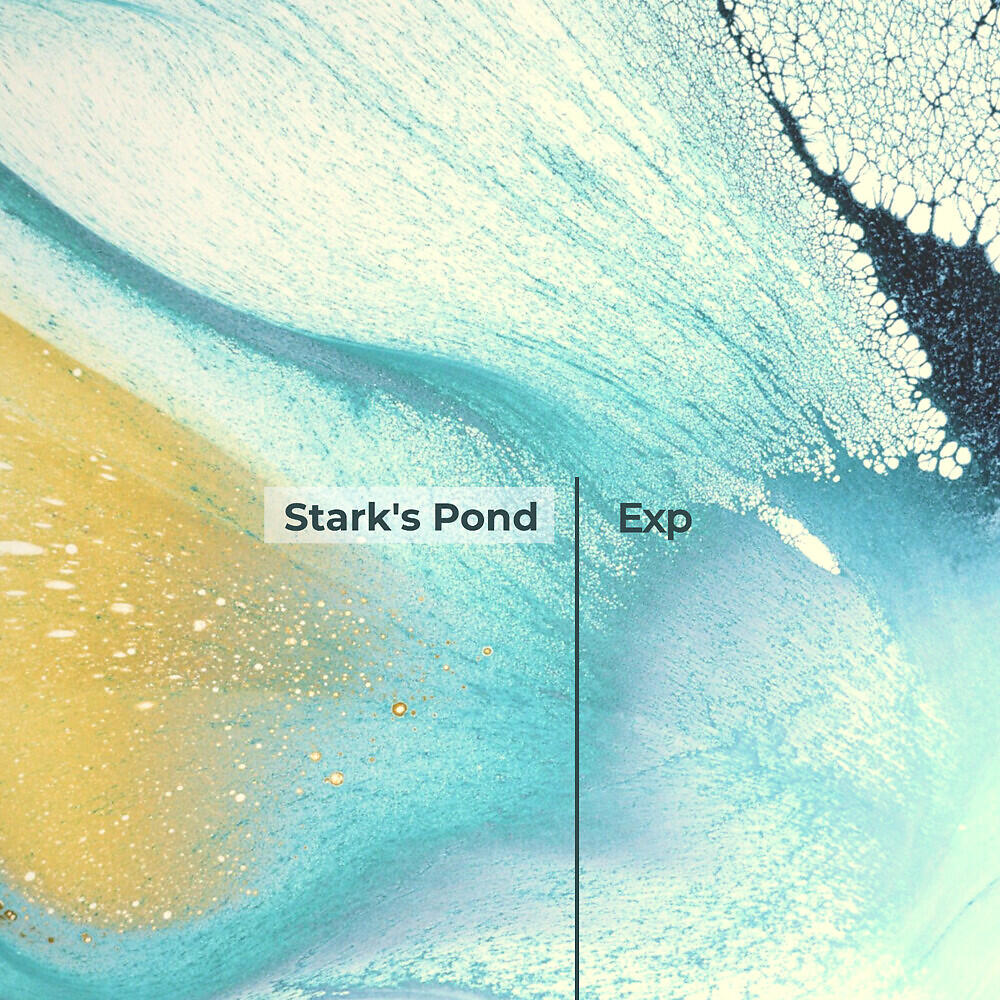 Stark's Pond