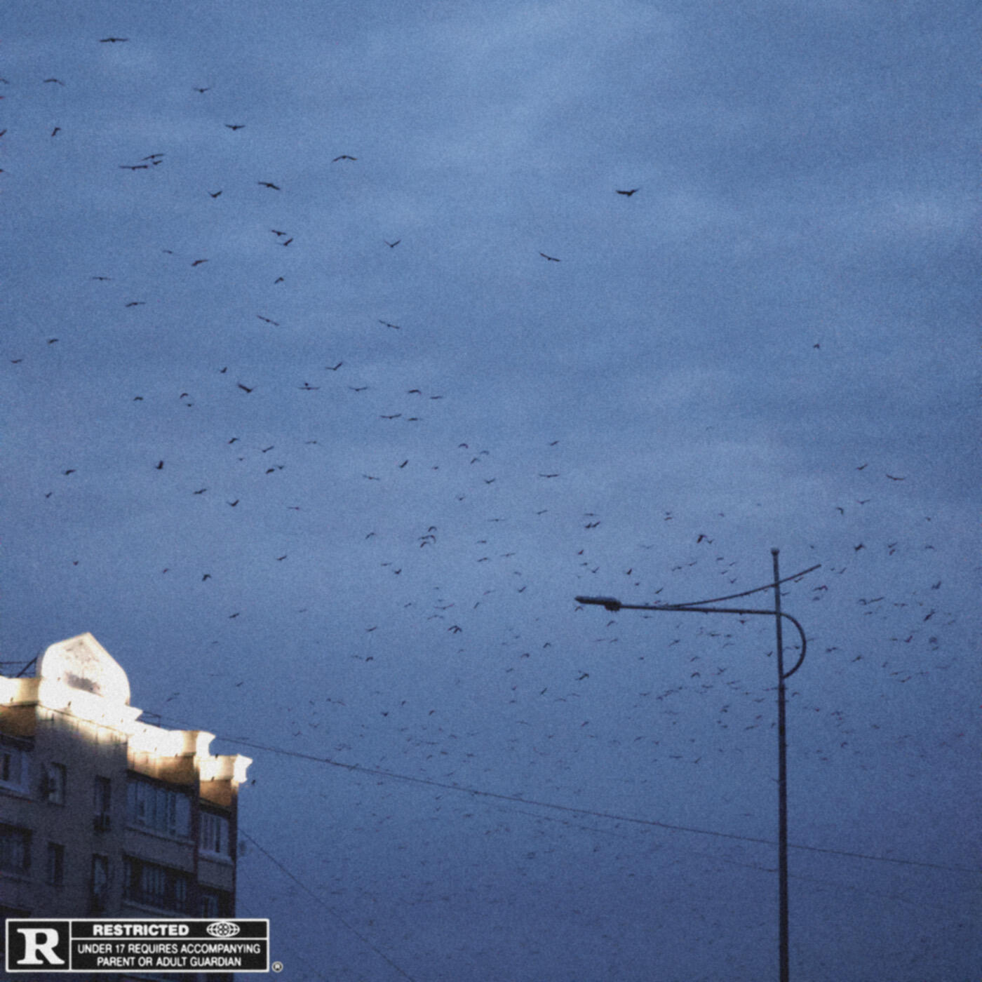 Релиз цифры