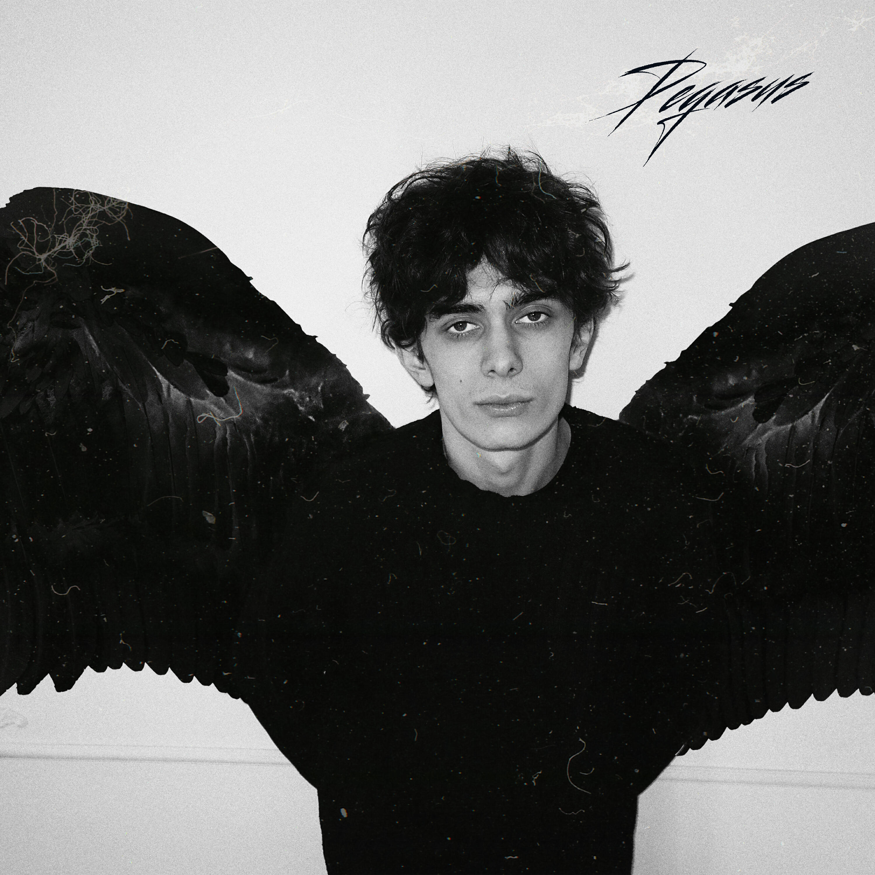 Релиз PEGASUS