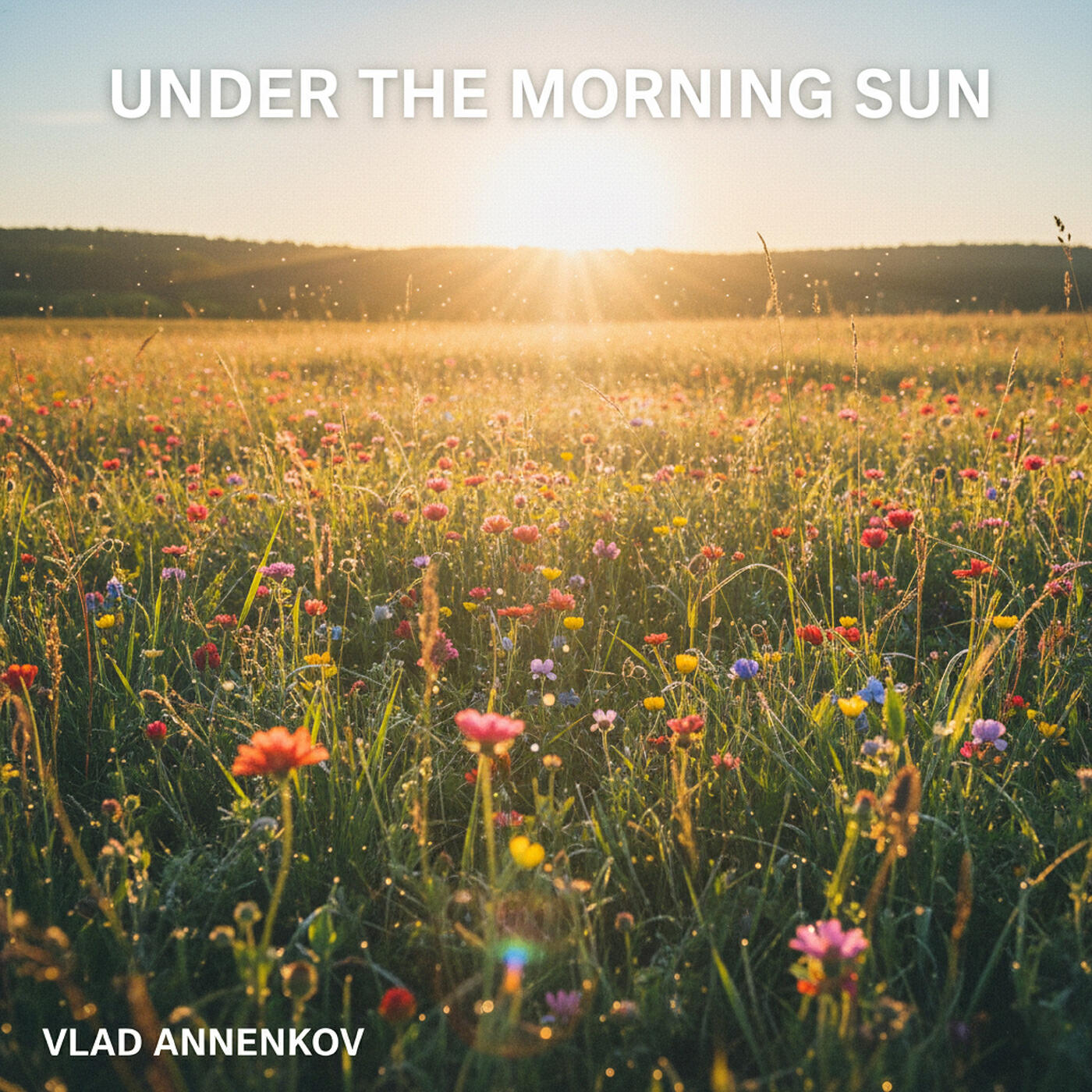 Релиз Under the Morning Sun