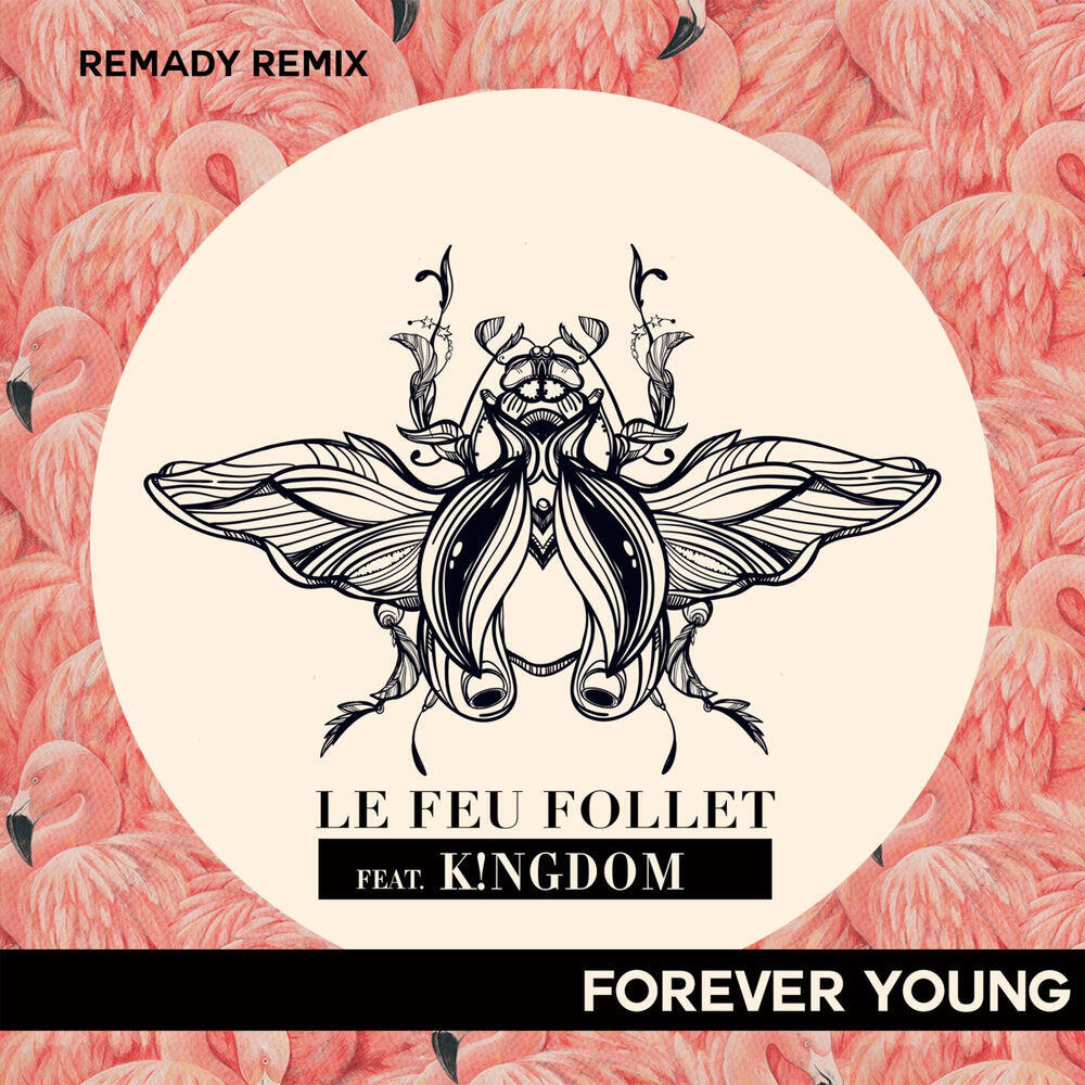 LE FEU FOLLET