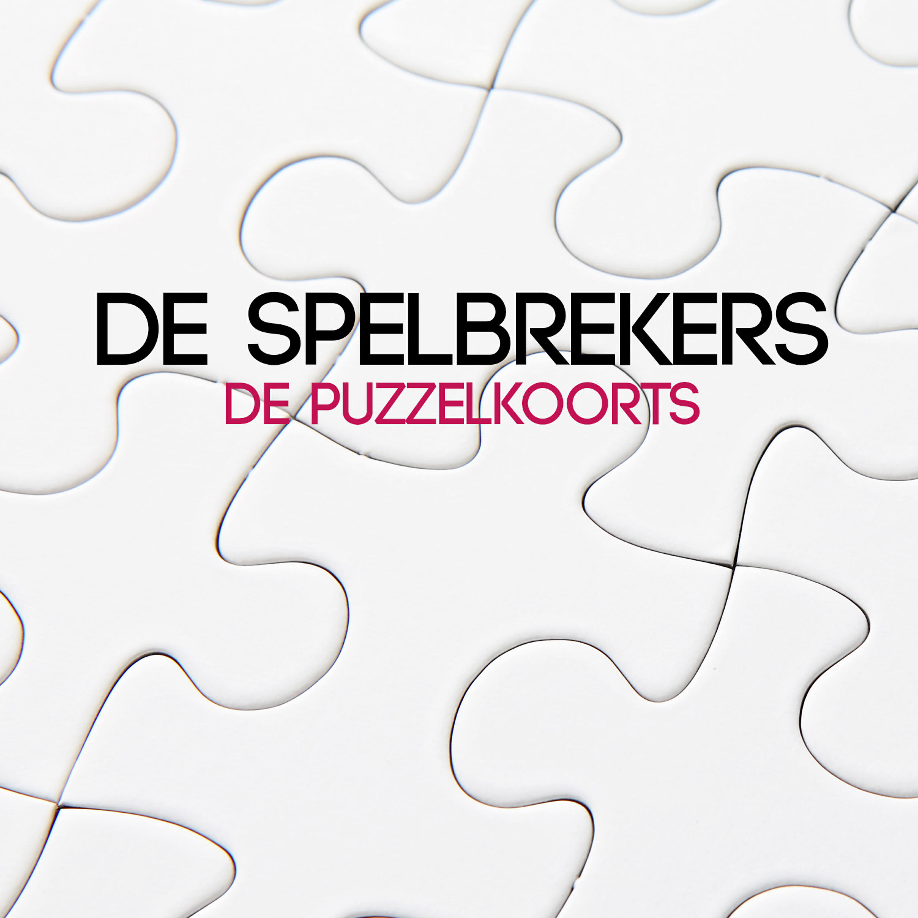 Релиз De Puzzelkoorts
