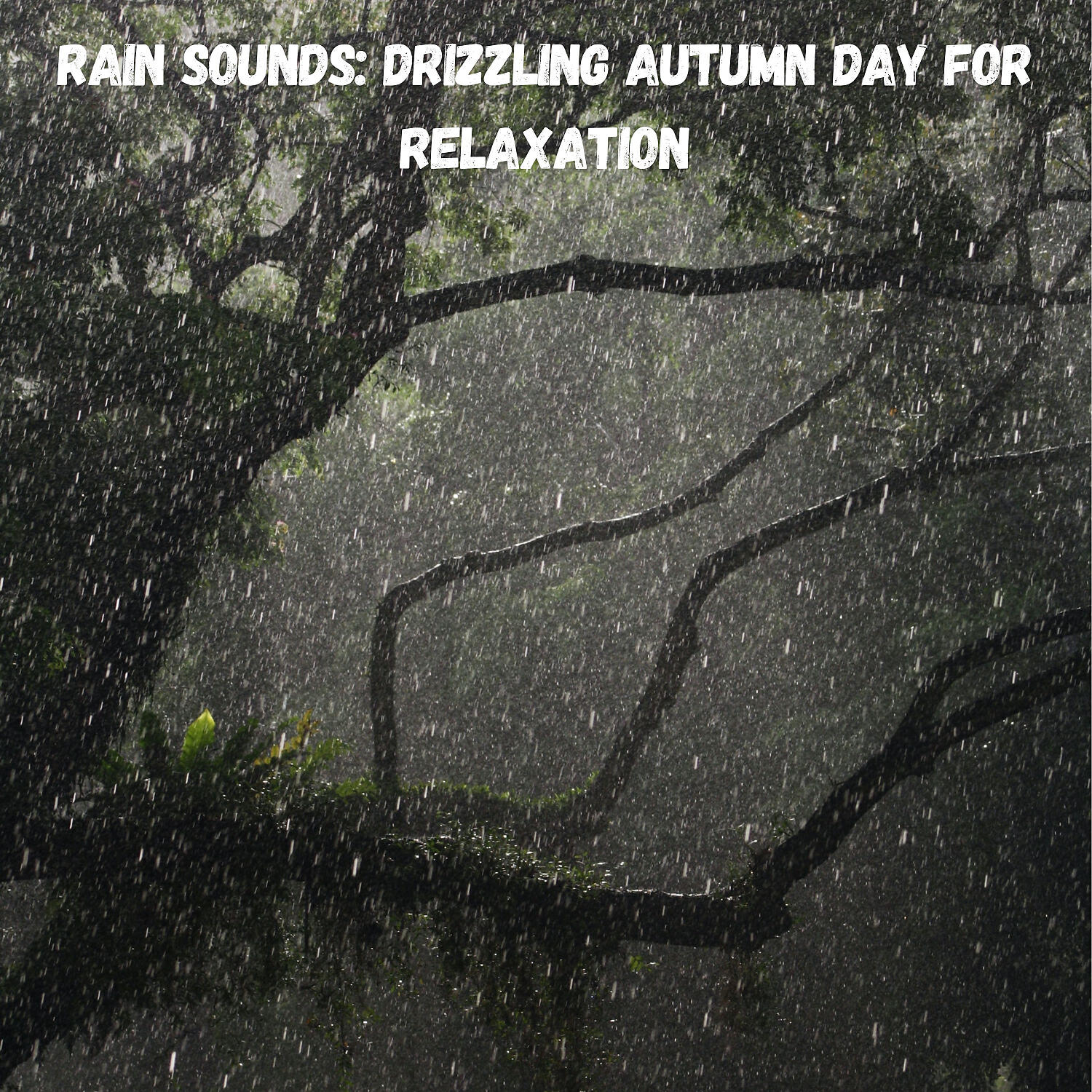 Постер альбома Rain Sounds: Drizzling Autumn Day for Relaxation