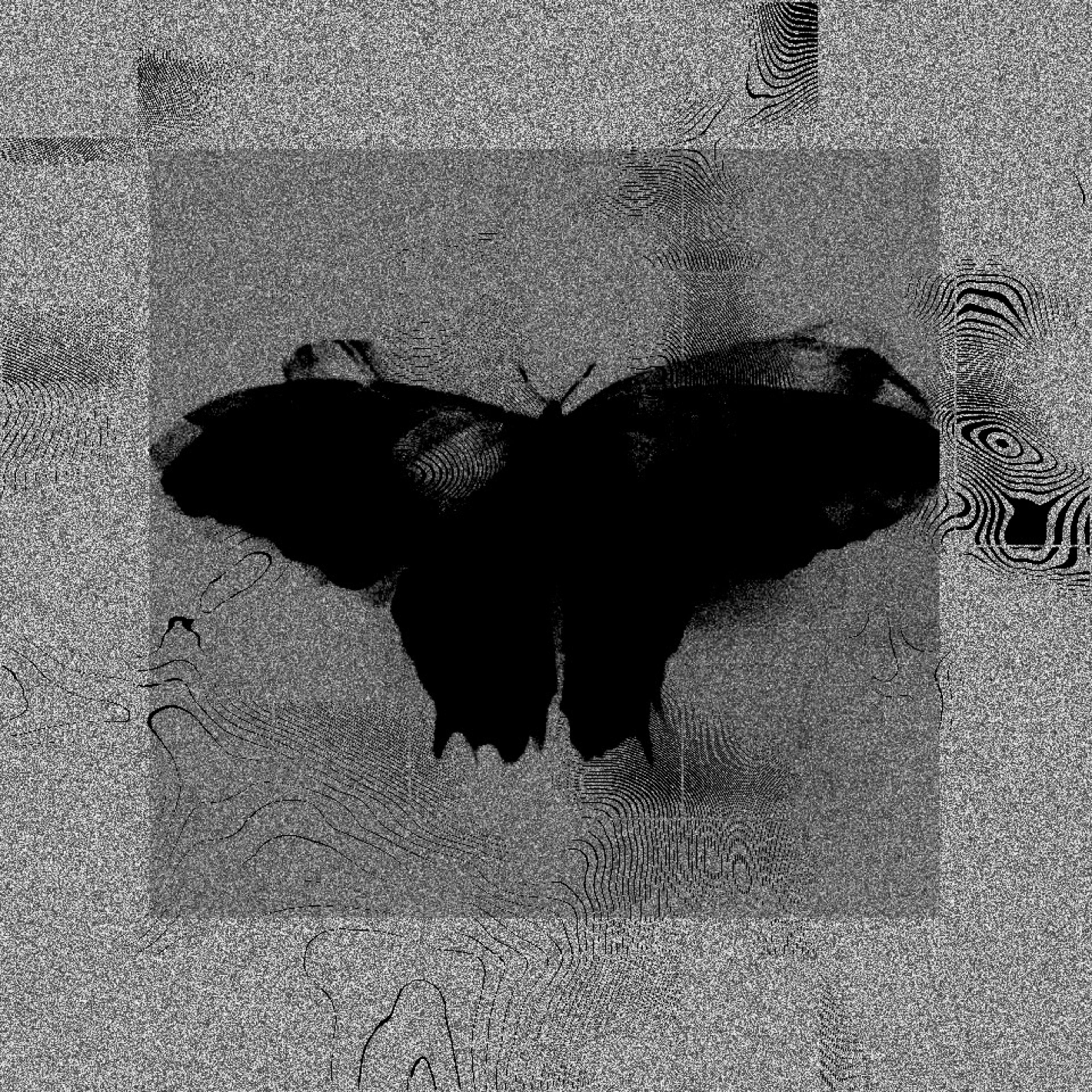 Релиз Life Without Me