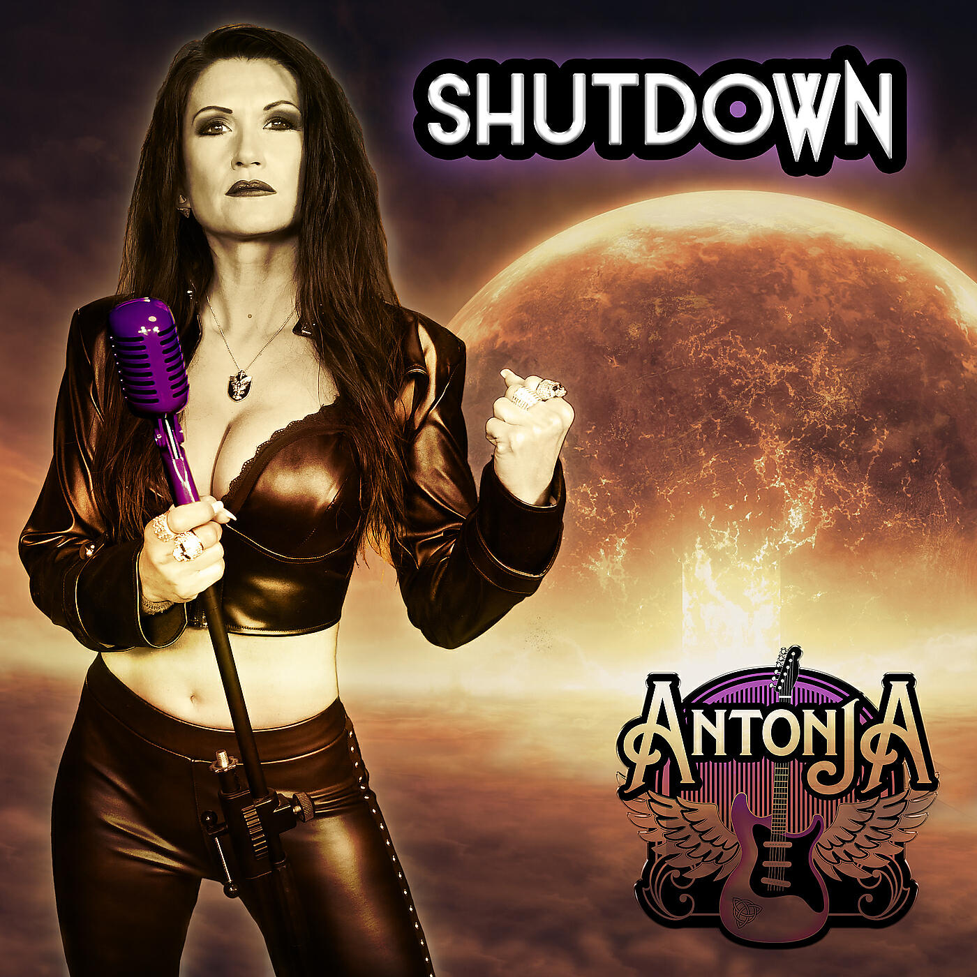 Релиз Shutdown