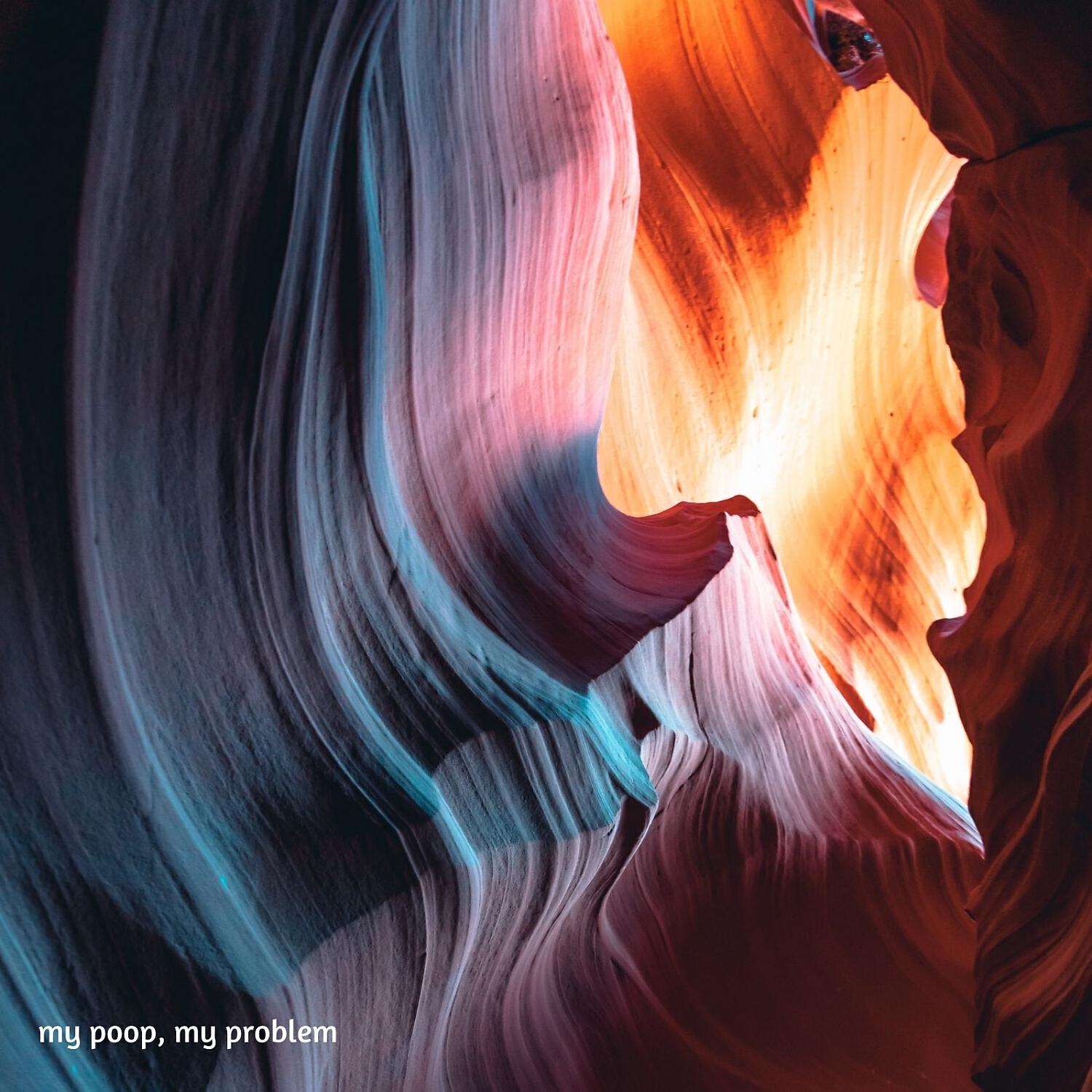 Релиз My Poop, My Problem (Re-Issue)