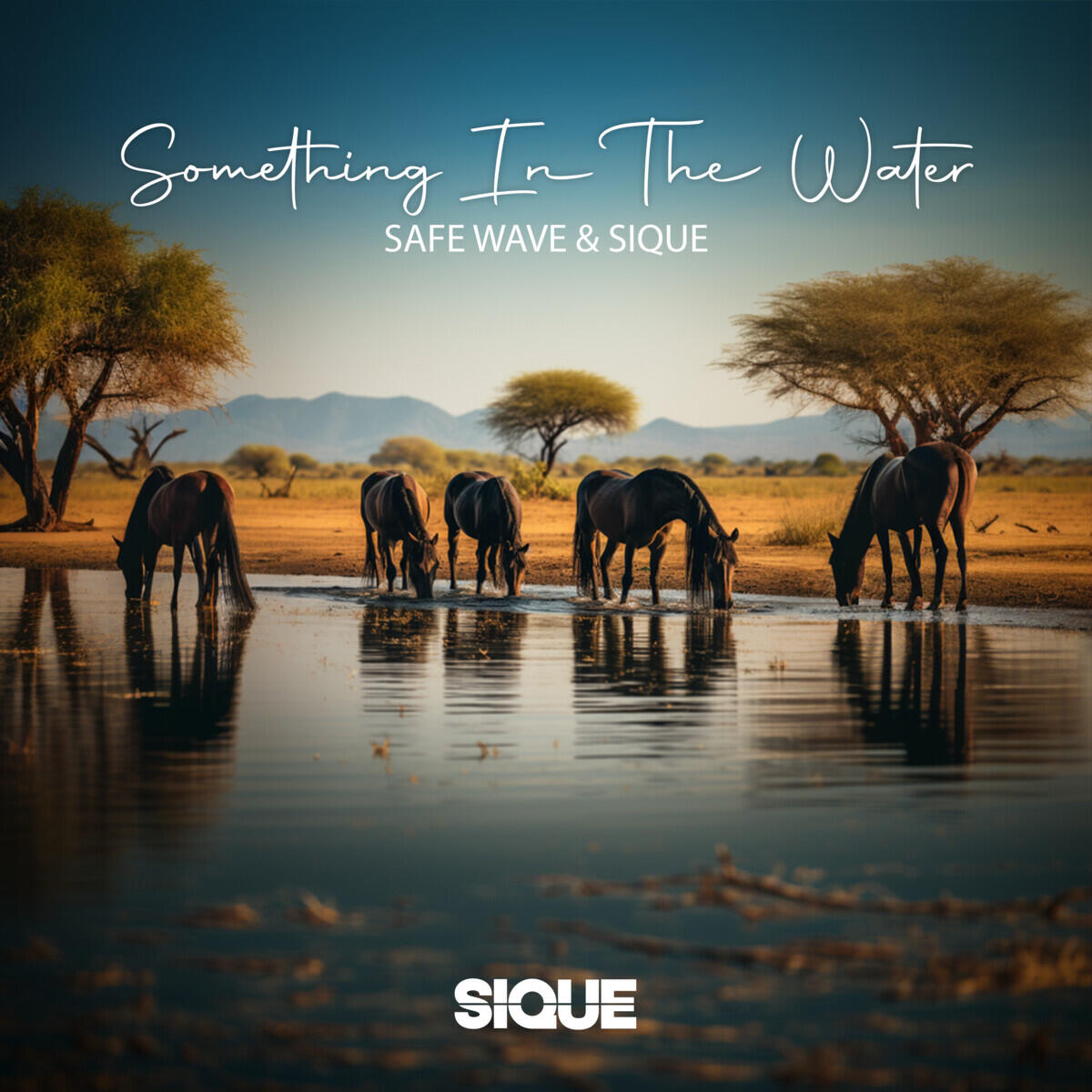 Релиз Something In The Water