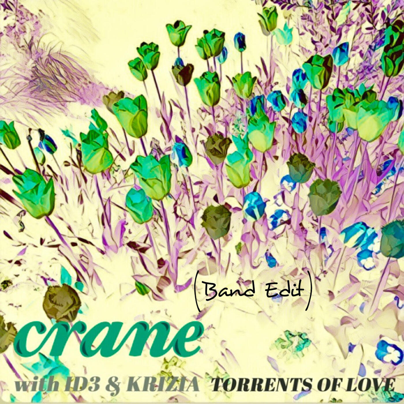 Релиз Torrents of Love (Band Edit)