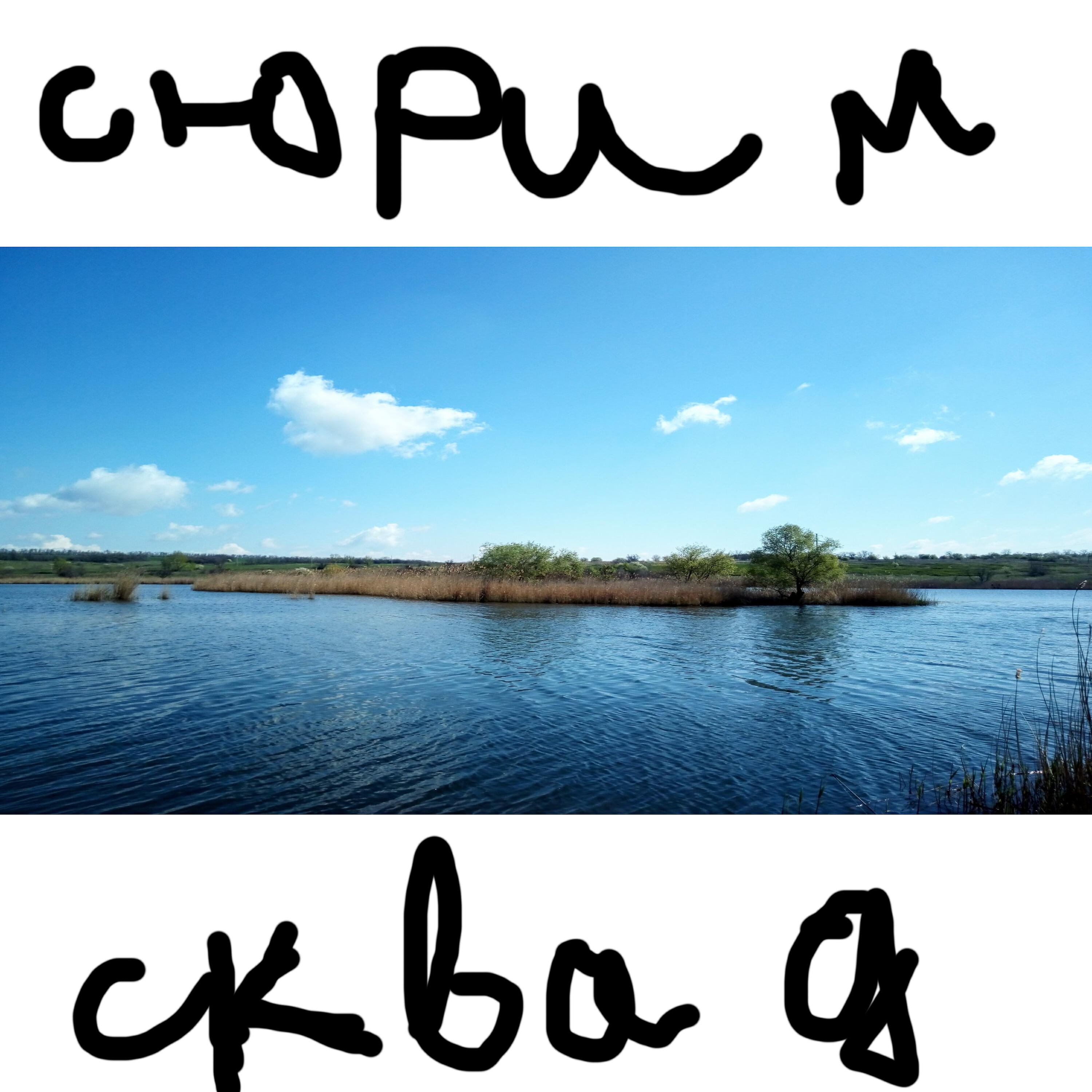 Релиз Сюрим сквад