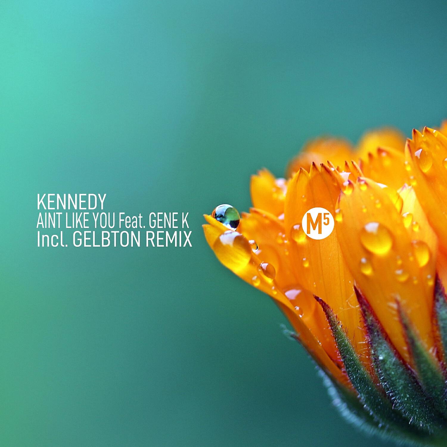 Gene K