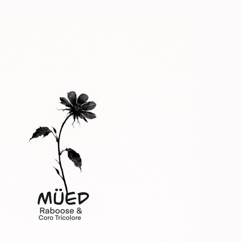 Релиз Müed