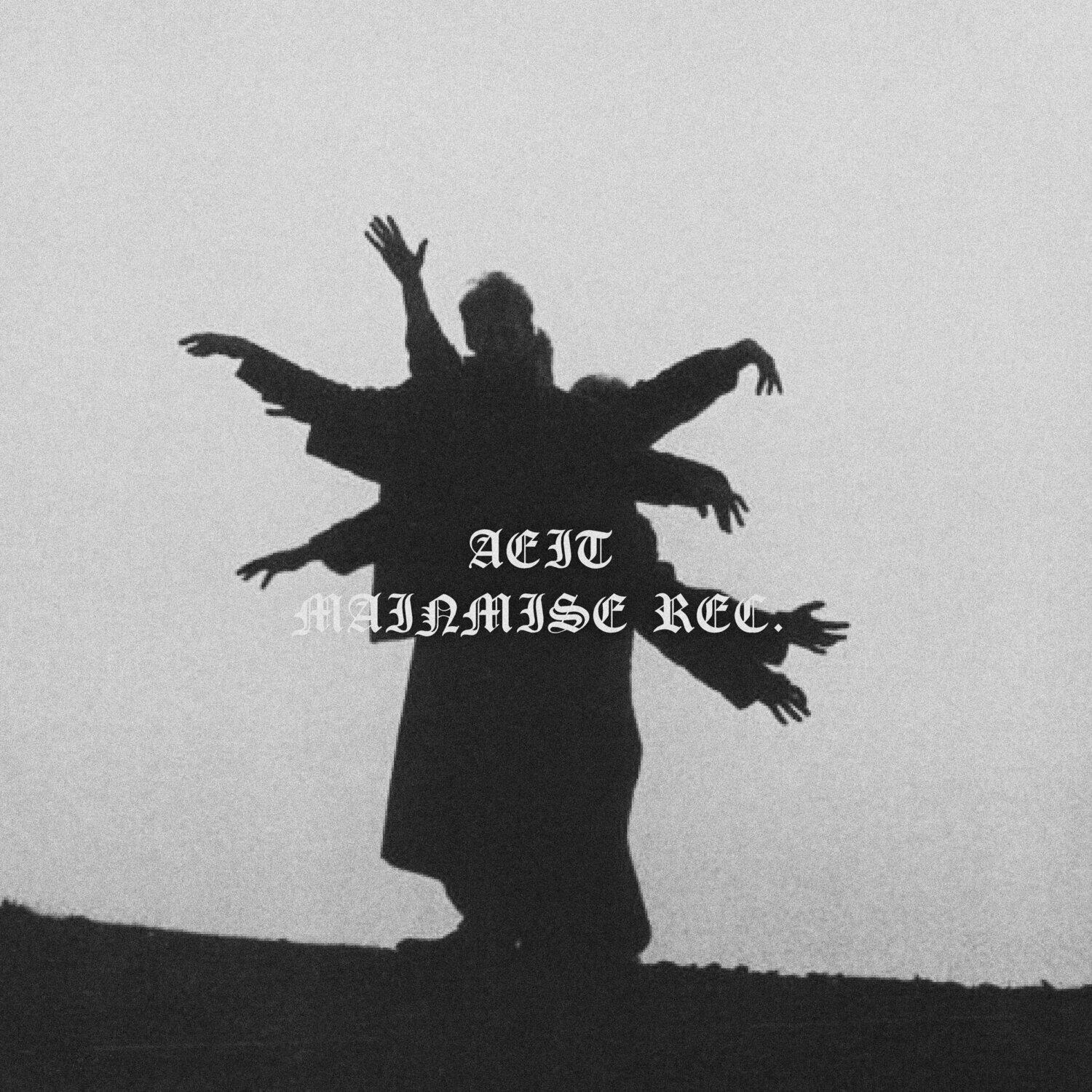 Релиз Comittee Of Chaos