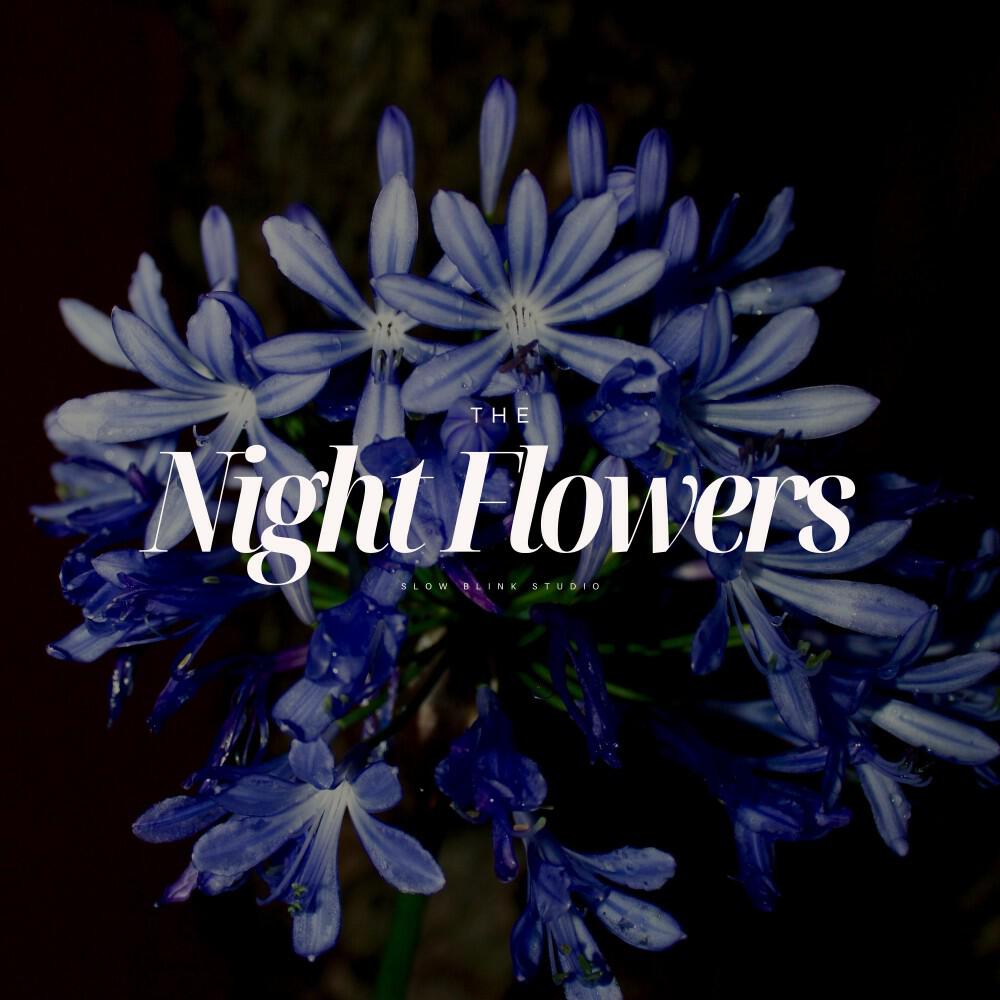 Релиз The Night Flowers