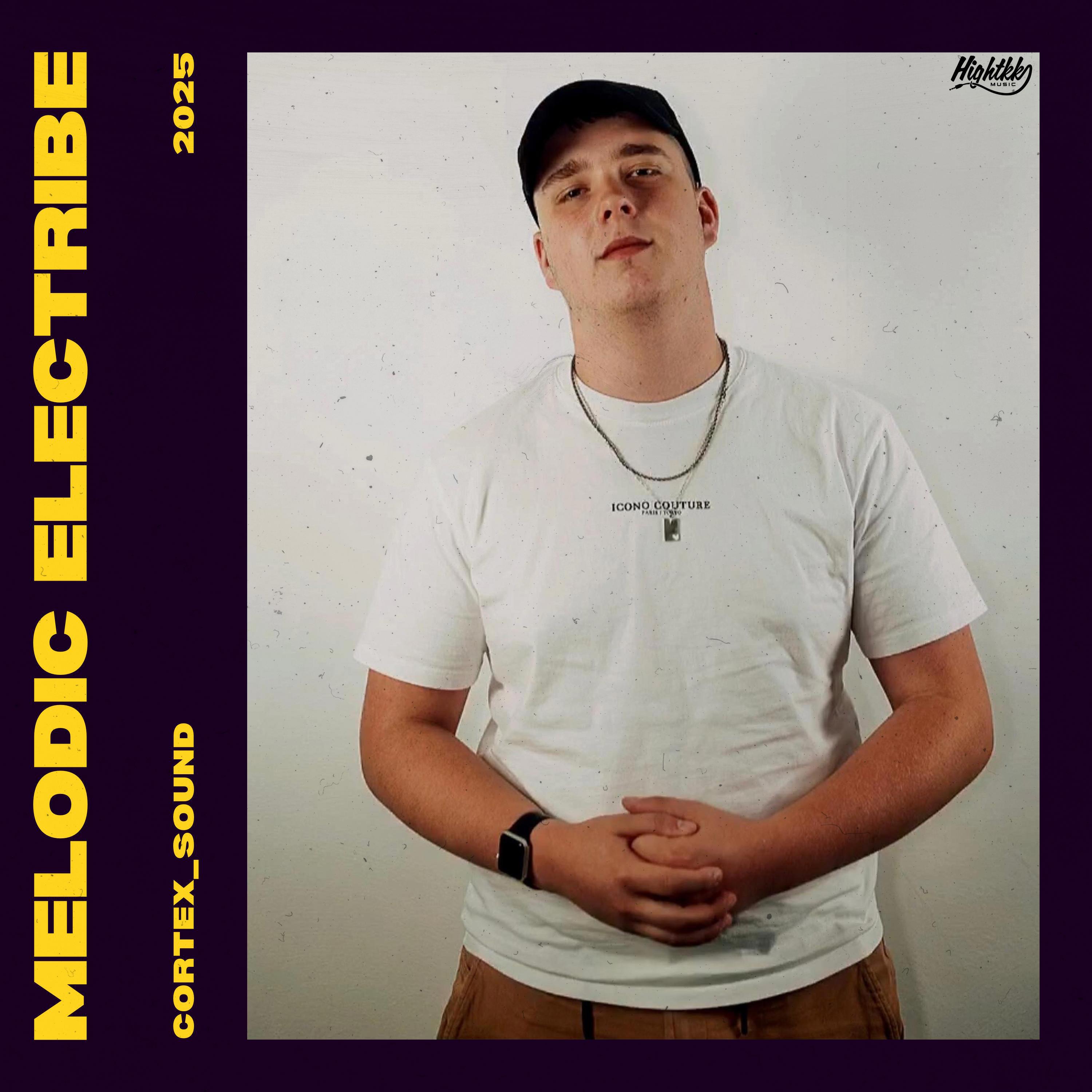 Релиз Melodic Electribe
