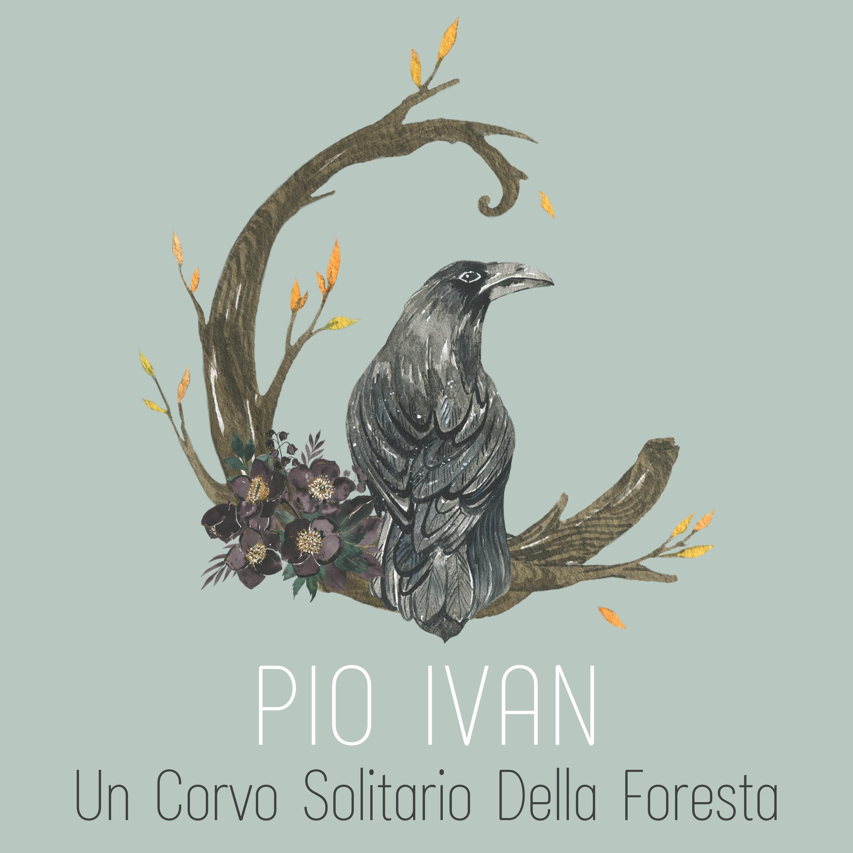 Релиз Un Corvo Solitario Della Foresta
