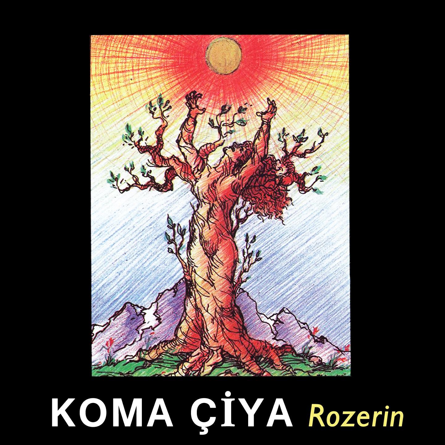 Релиз Rozerin