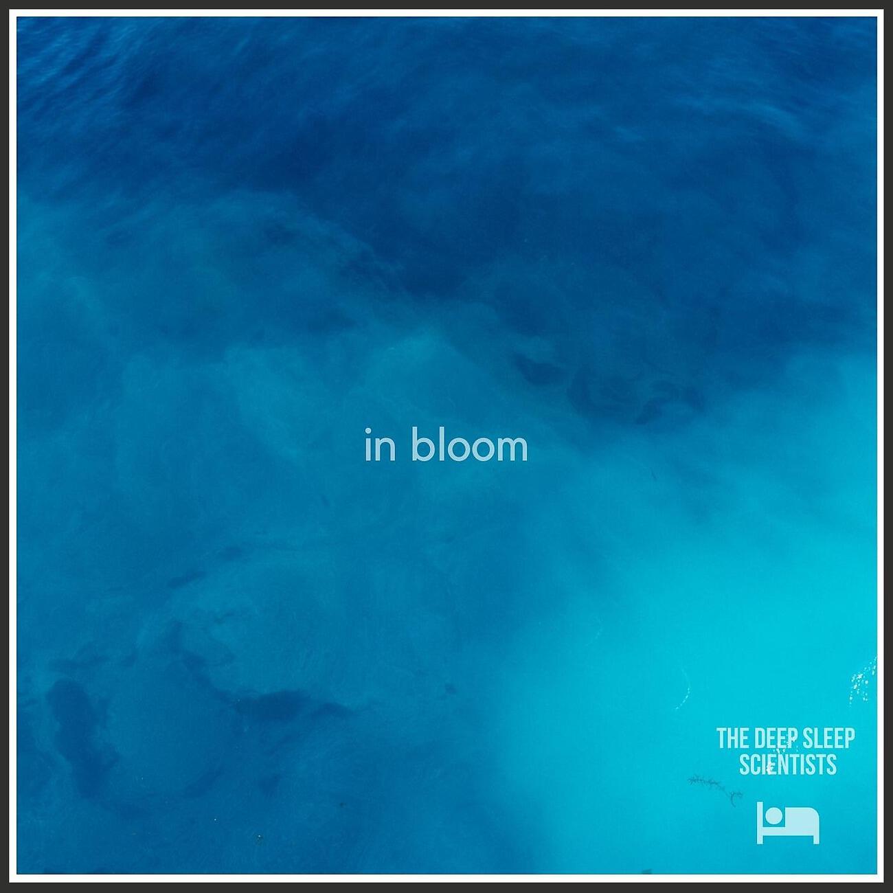 Трек In Bloom (Ocean)