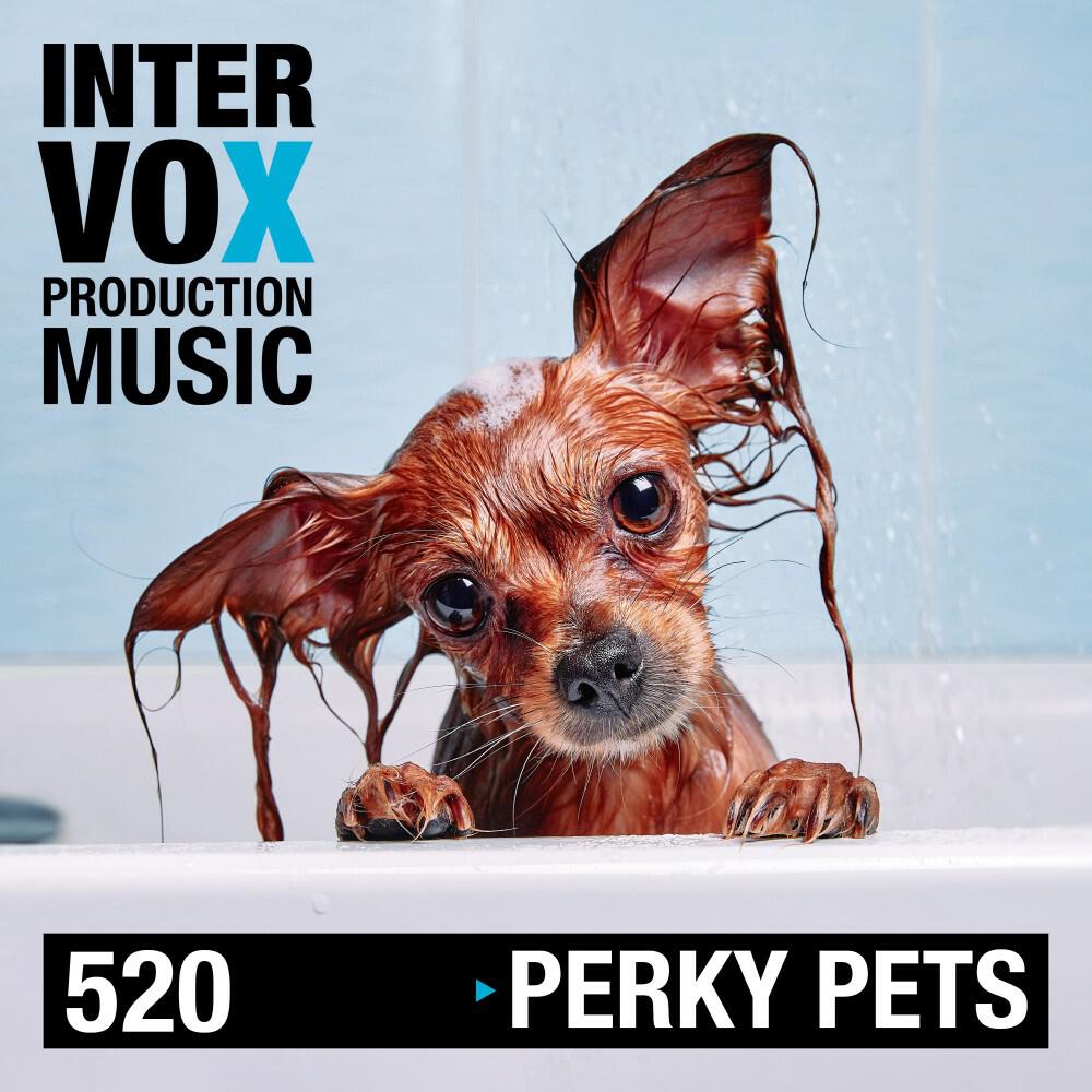 Релиз Perky Pets