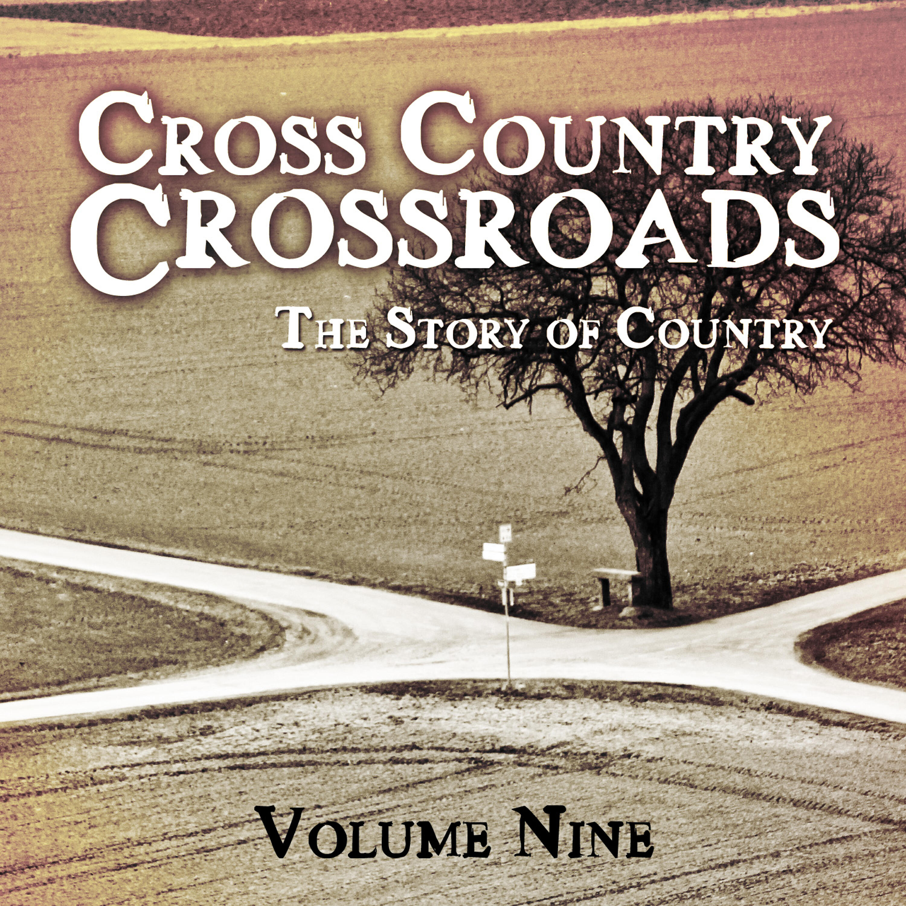 Релиз Cross Country Crossroads - The Story of Country, Vol. 9