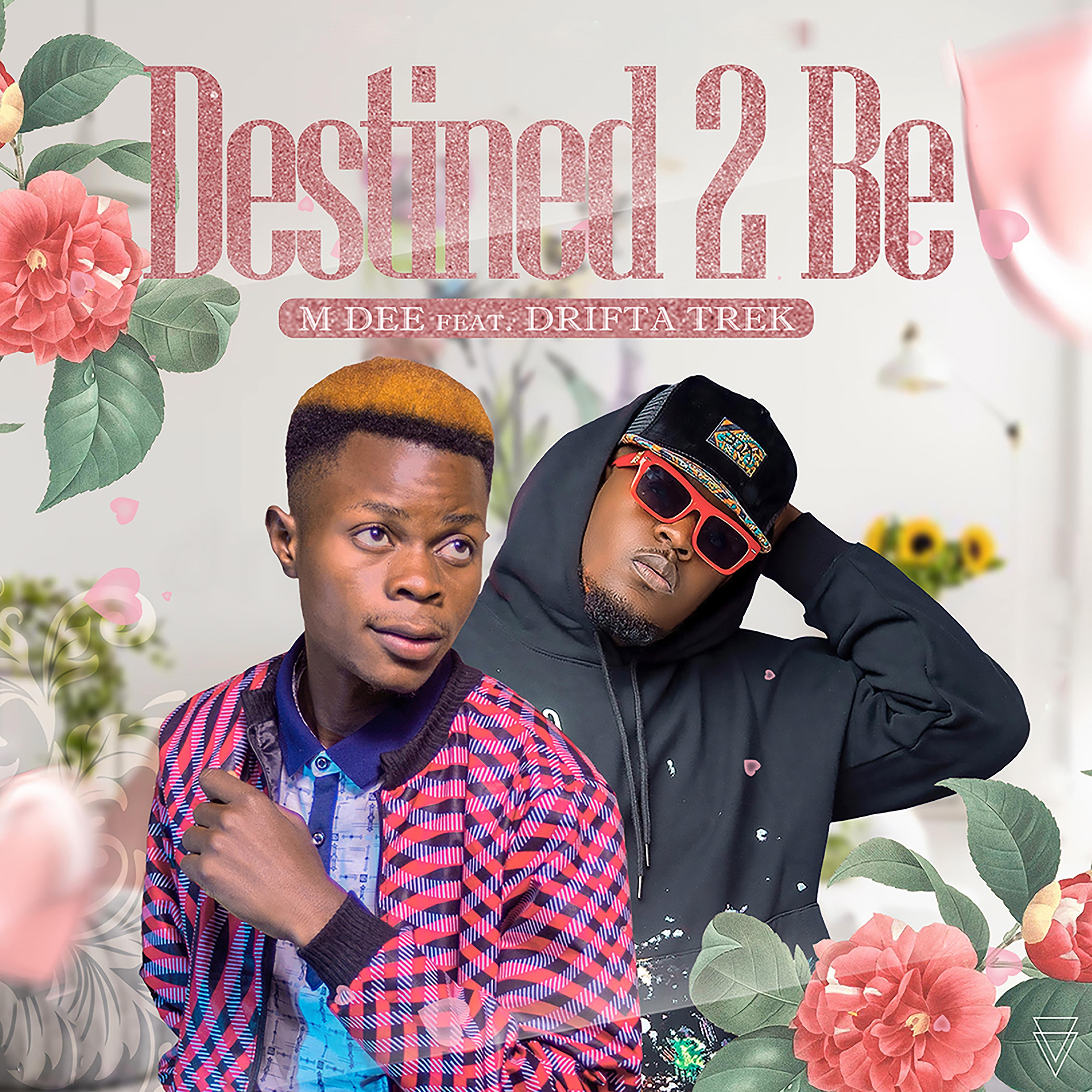 Релиз Destined 2 Be