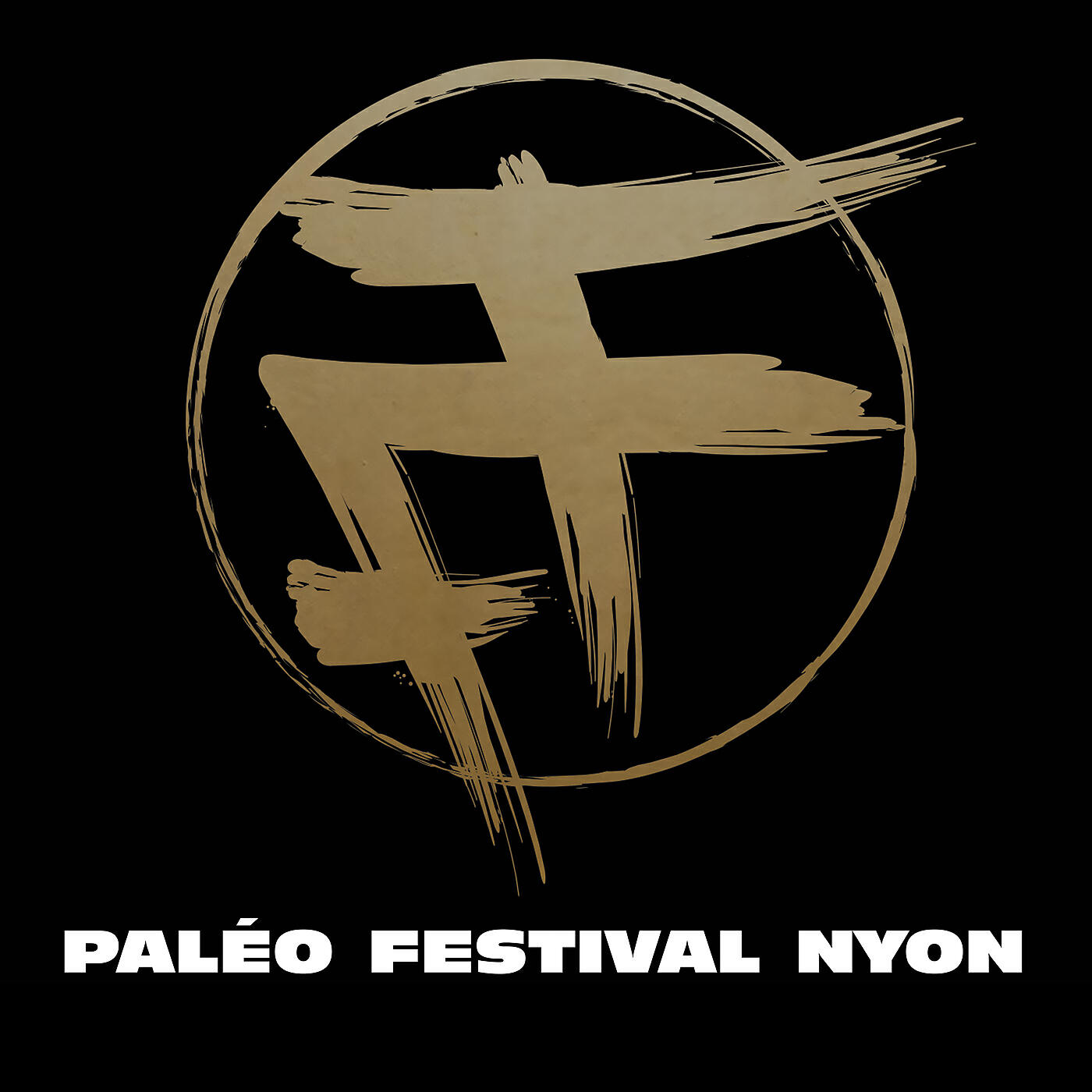 Постер альбома Live au Paléo Festival