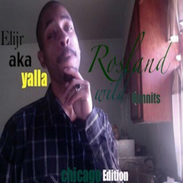 Релиз Roseland Wild Hunnits (Chicago Edition)