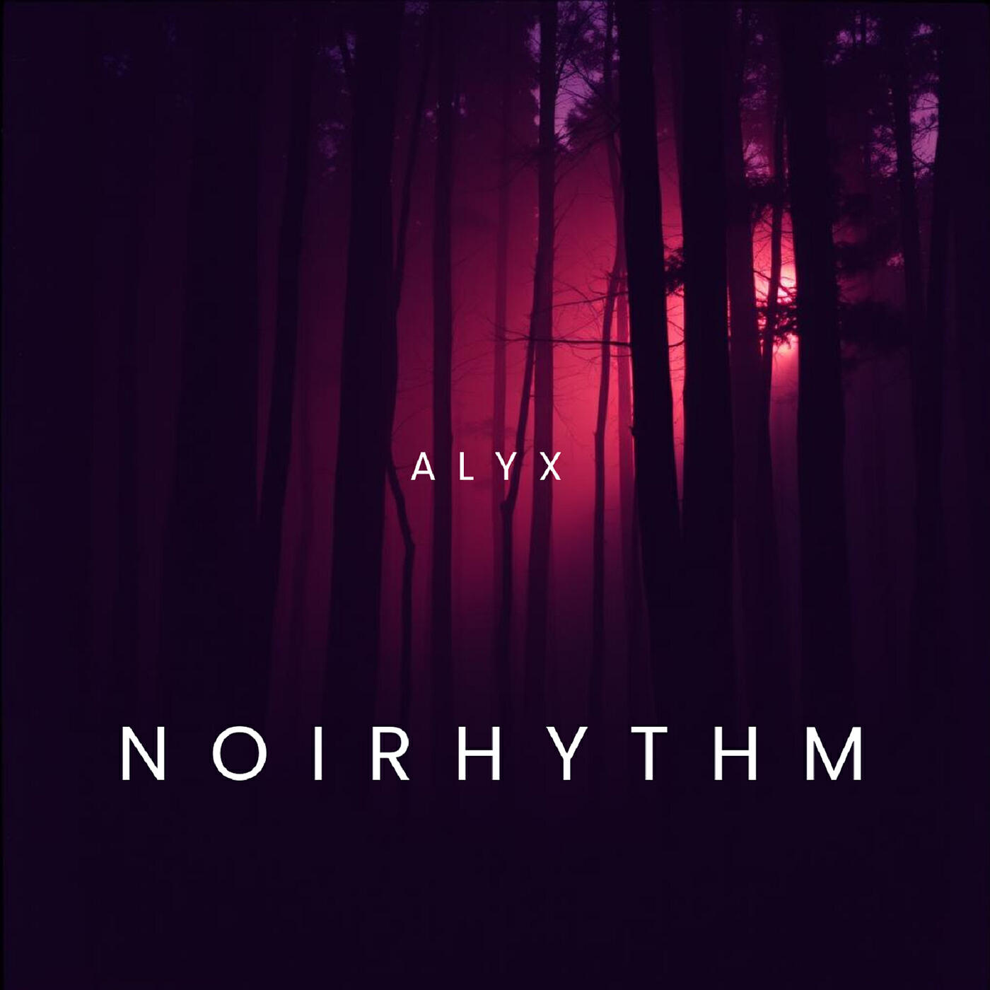 Релиз Noirhythm