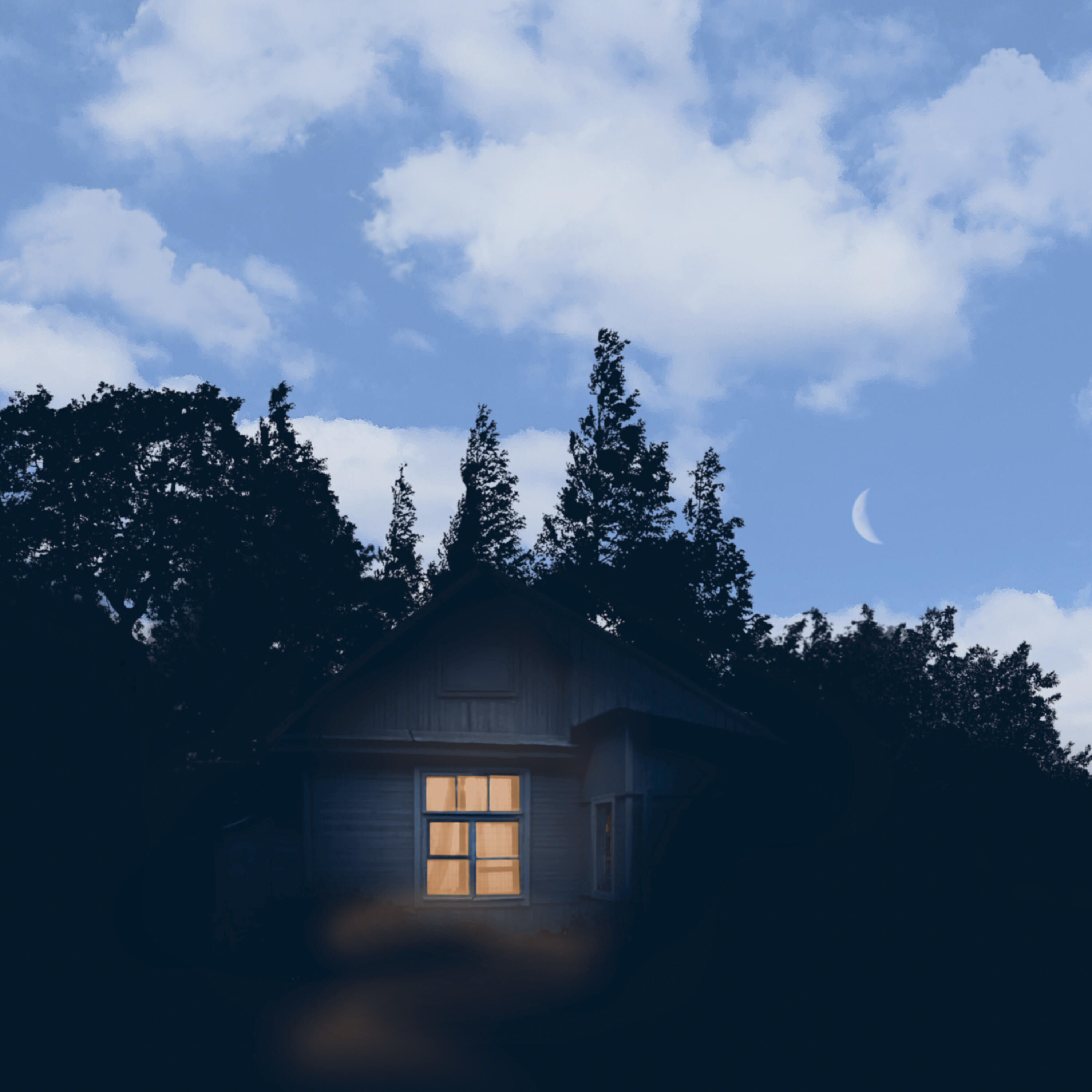 Релиз home