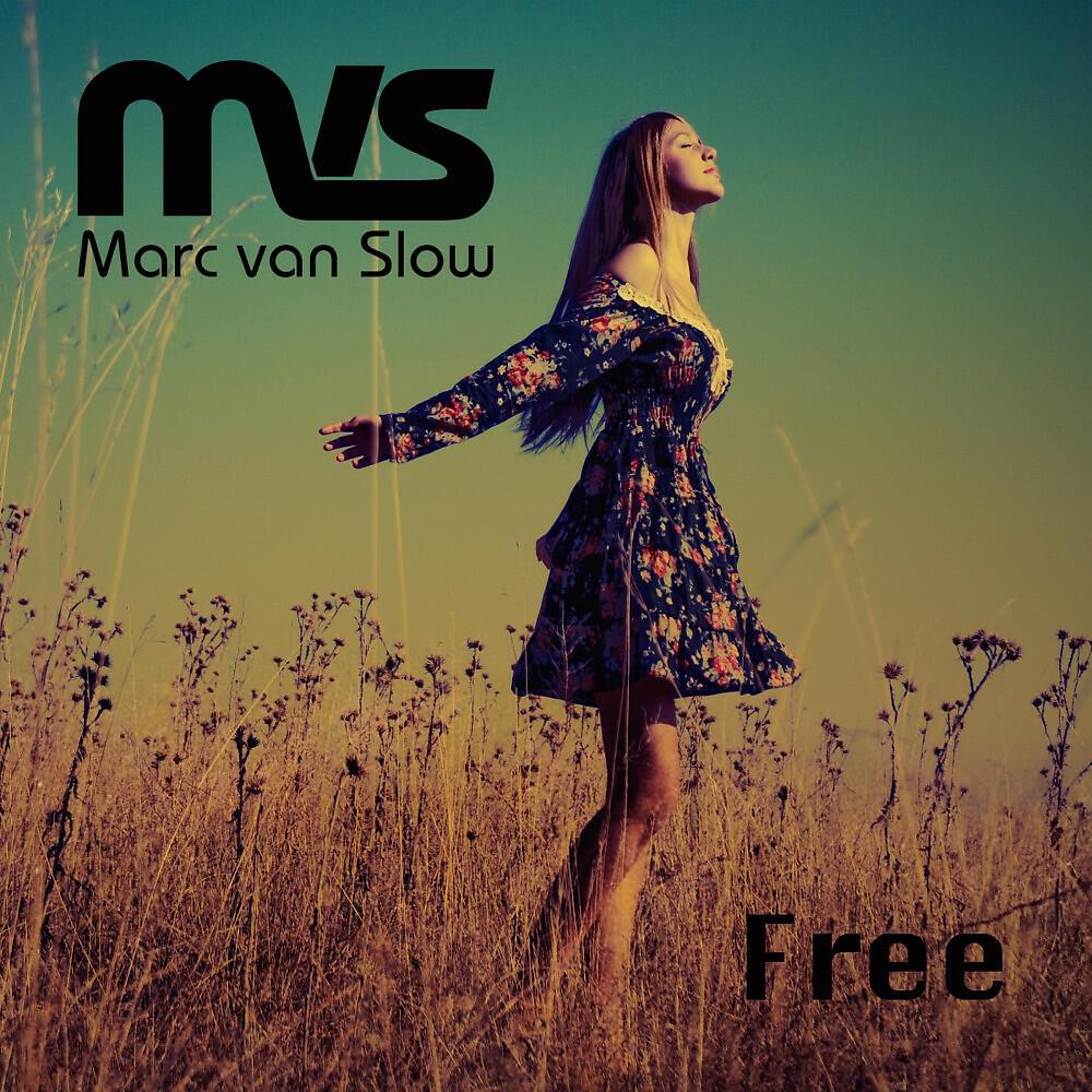 Релиз Free