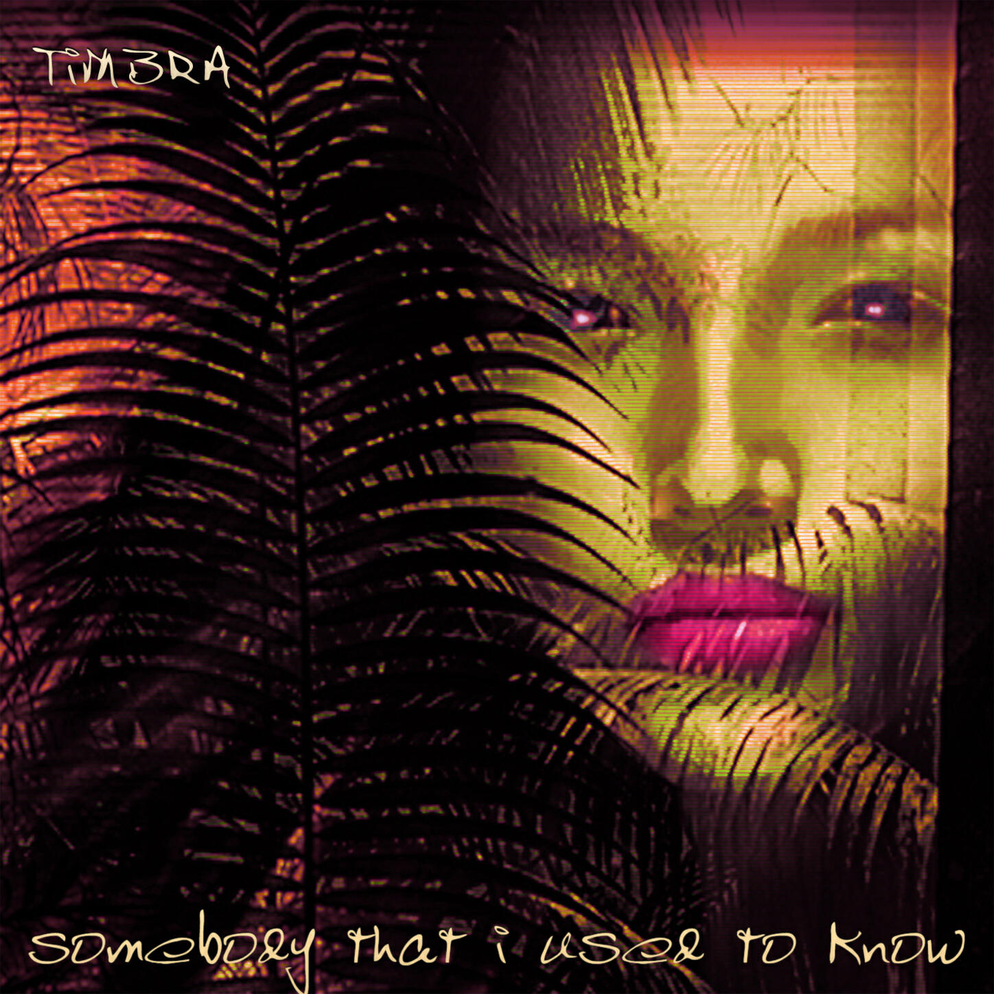 Релиз Somebody That I Used to Know