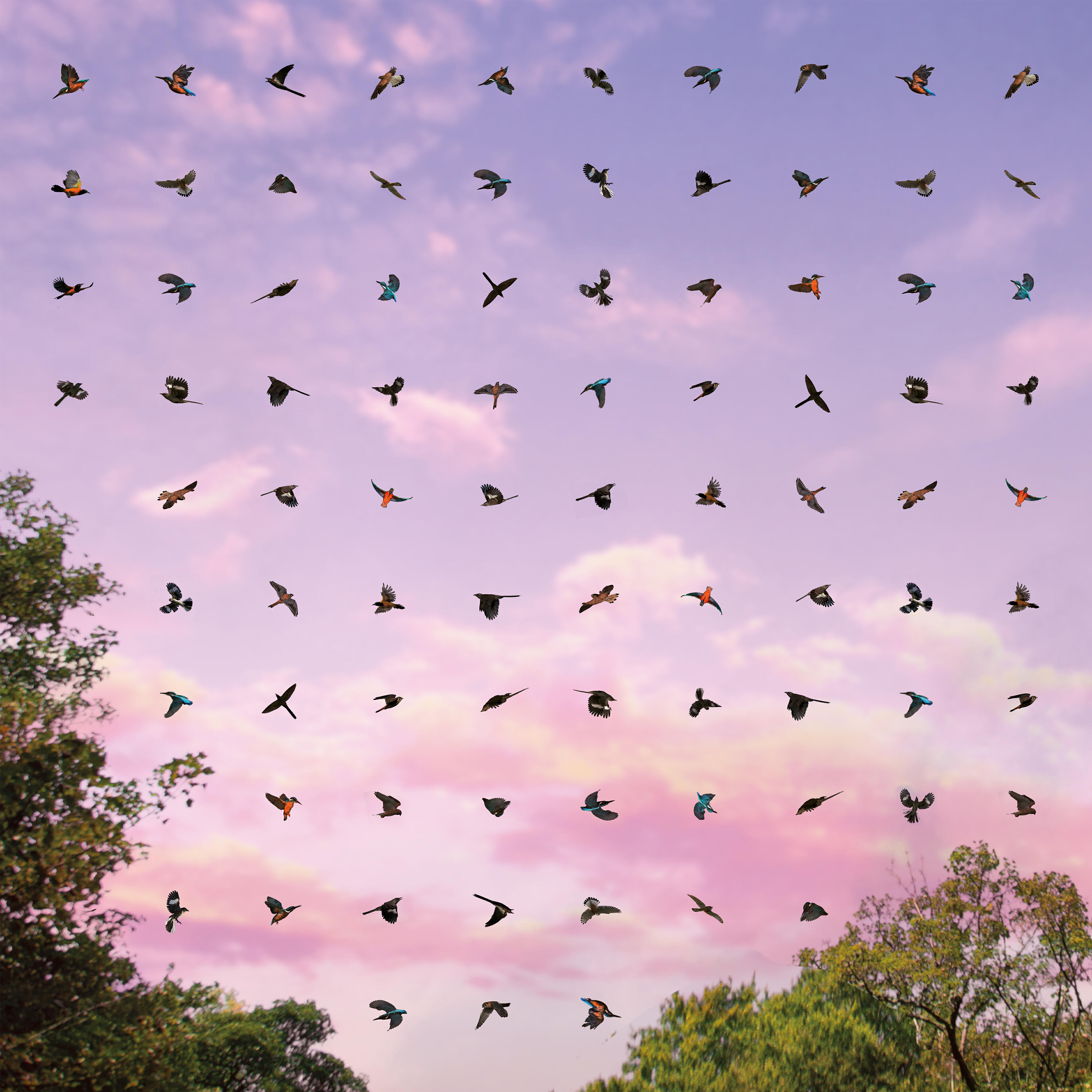 Horus, Jambene - Pelea de Hermanos