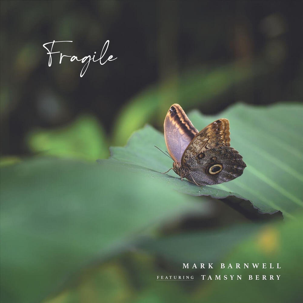 Релиз Fragile