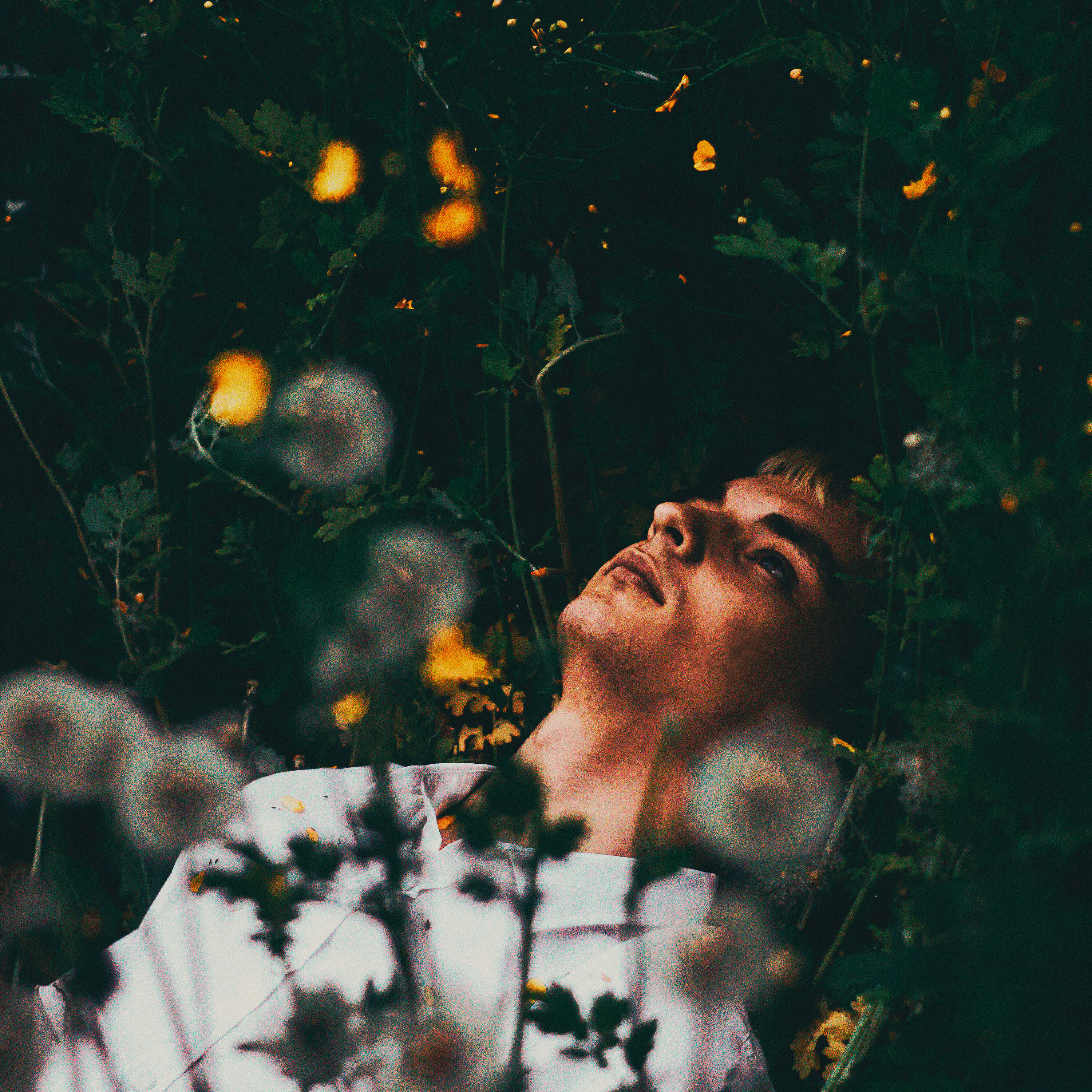 Релиз (Не)Забыть