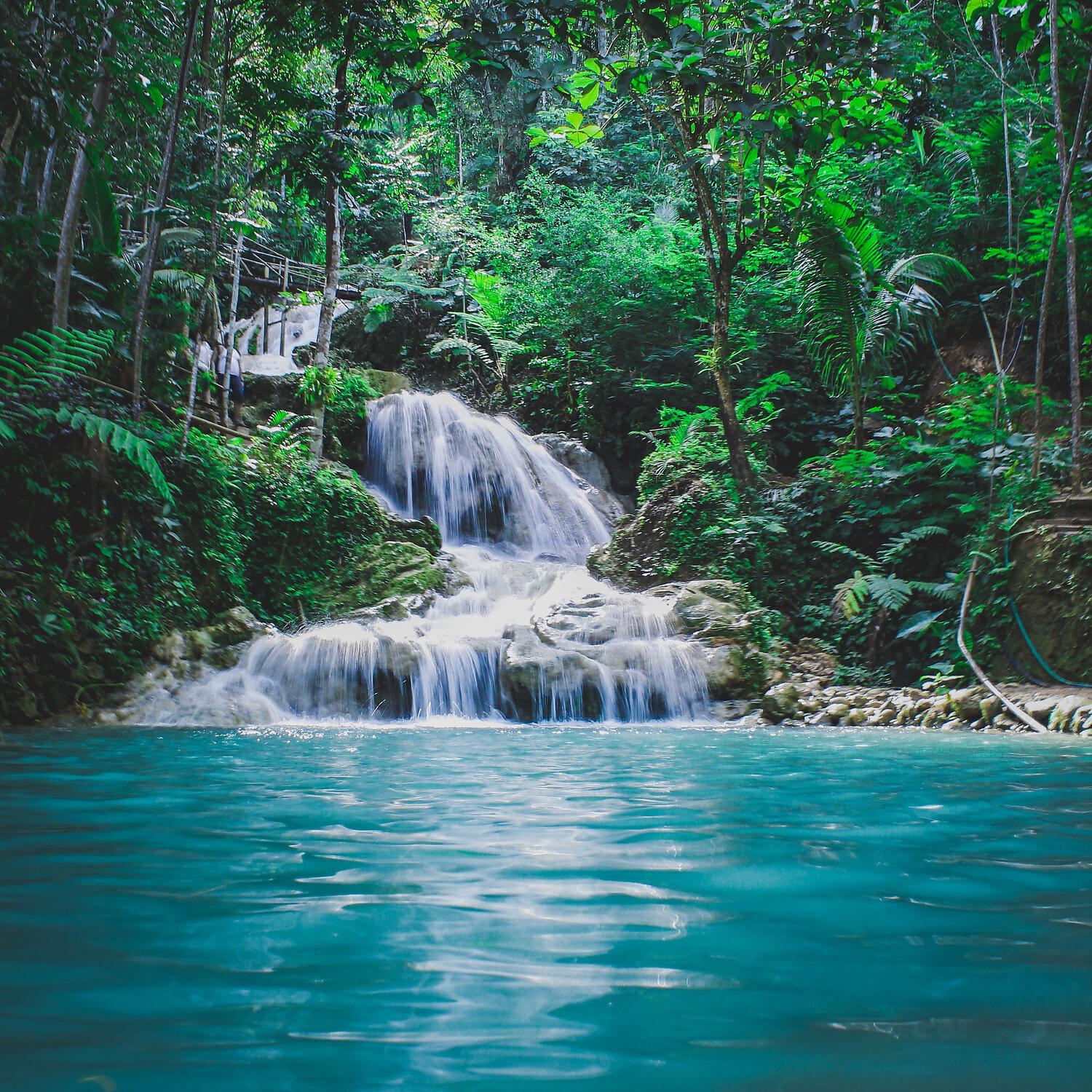 Релиз Amazonian Jungle Calming Soft Sounds (Loopable)