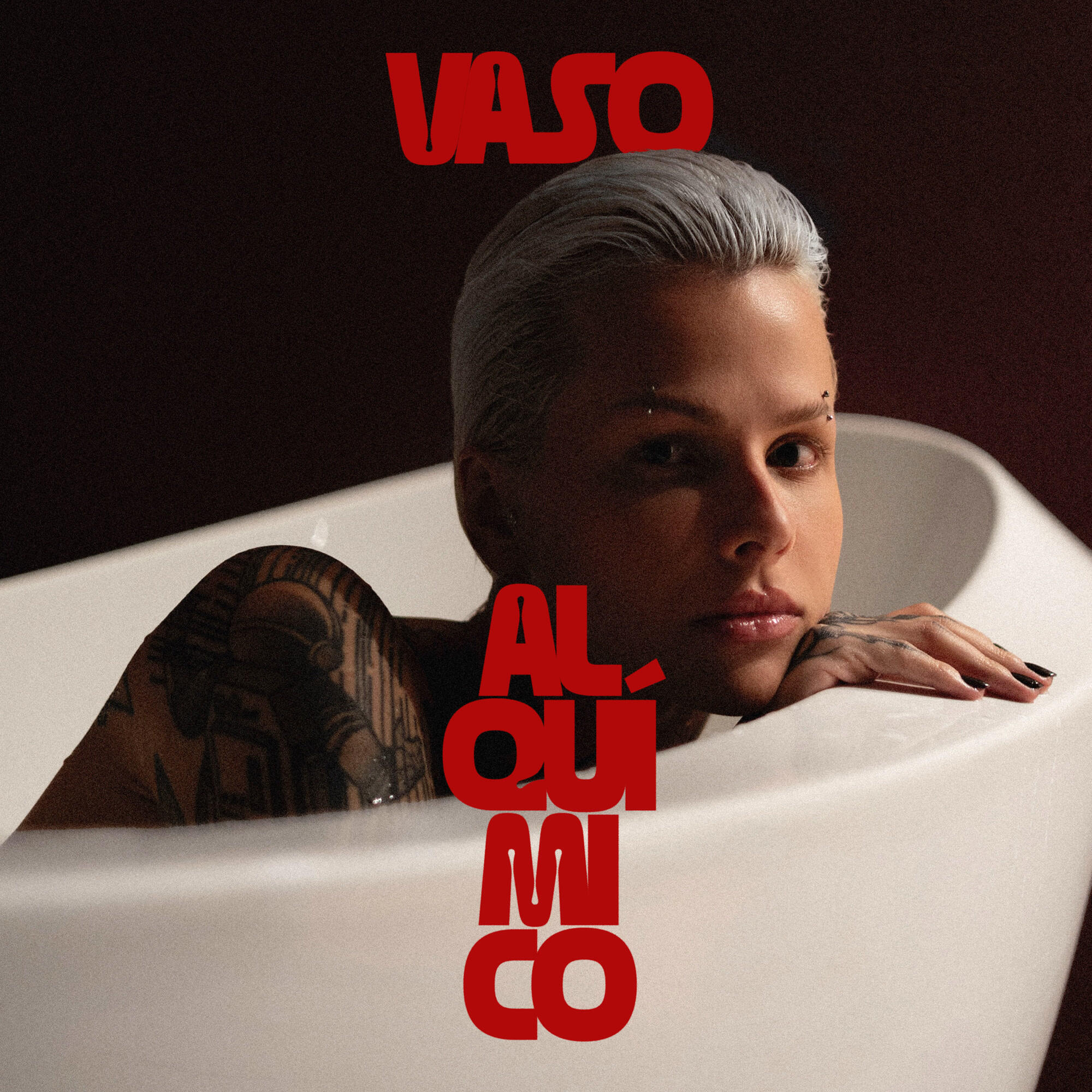 Релиз VASO ALQUÍMICO