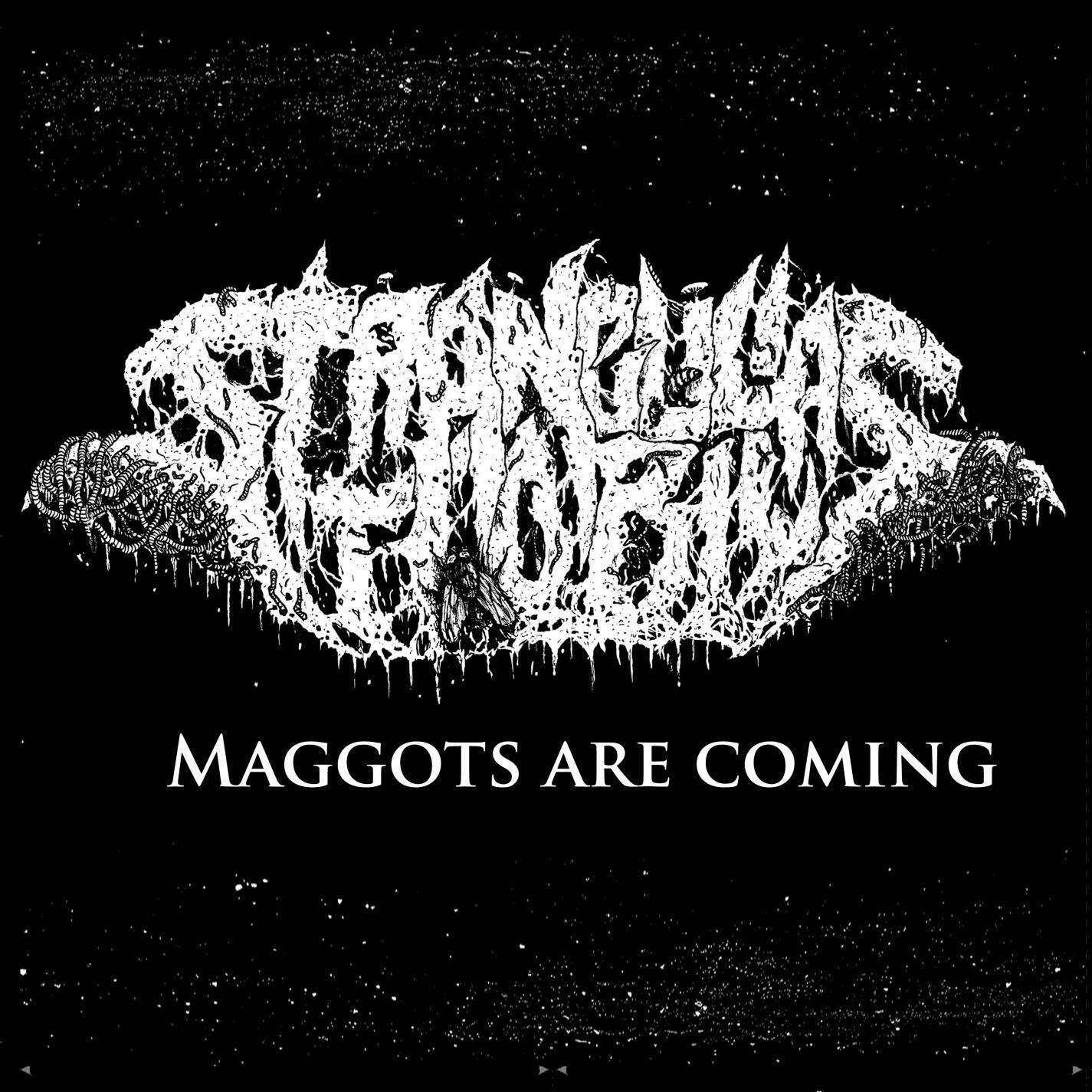Релиз Maggots Are Coming