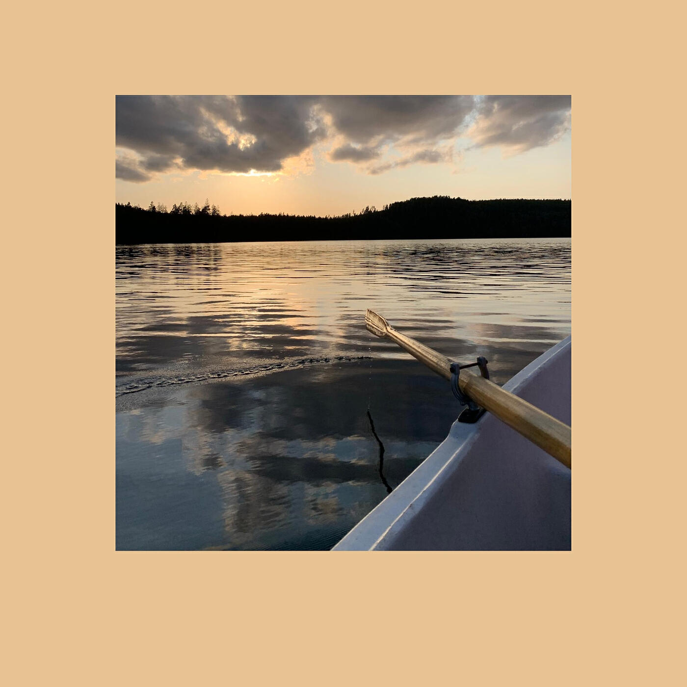 Релиз Schweden