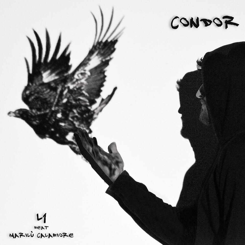 L1, Marilù Calafiore - Condor
