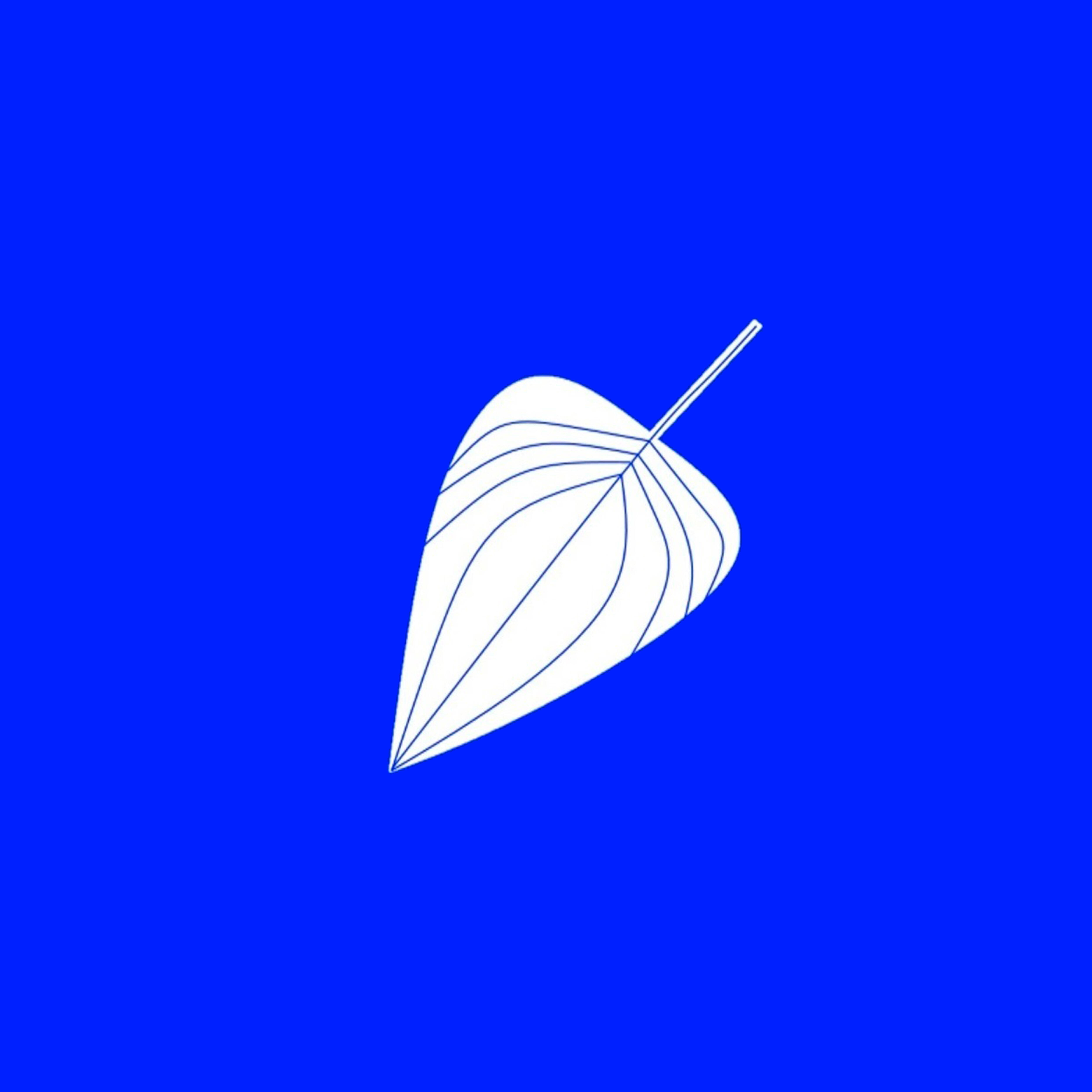 Релиз Инструменталы